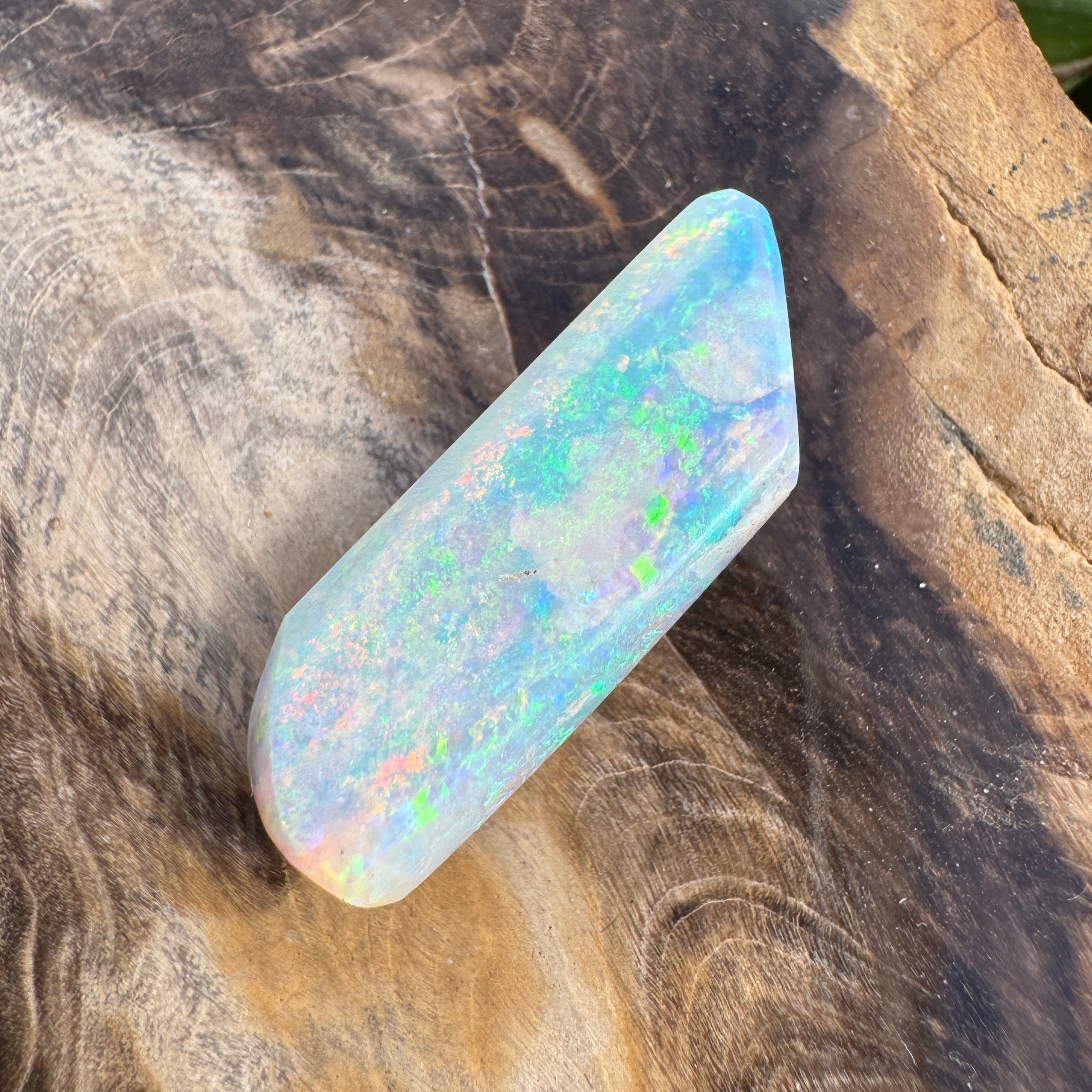 11.6ct Coober Pedy Belemnite Opal | Solid Australian Opal | Hand-Cut