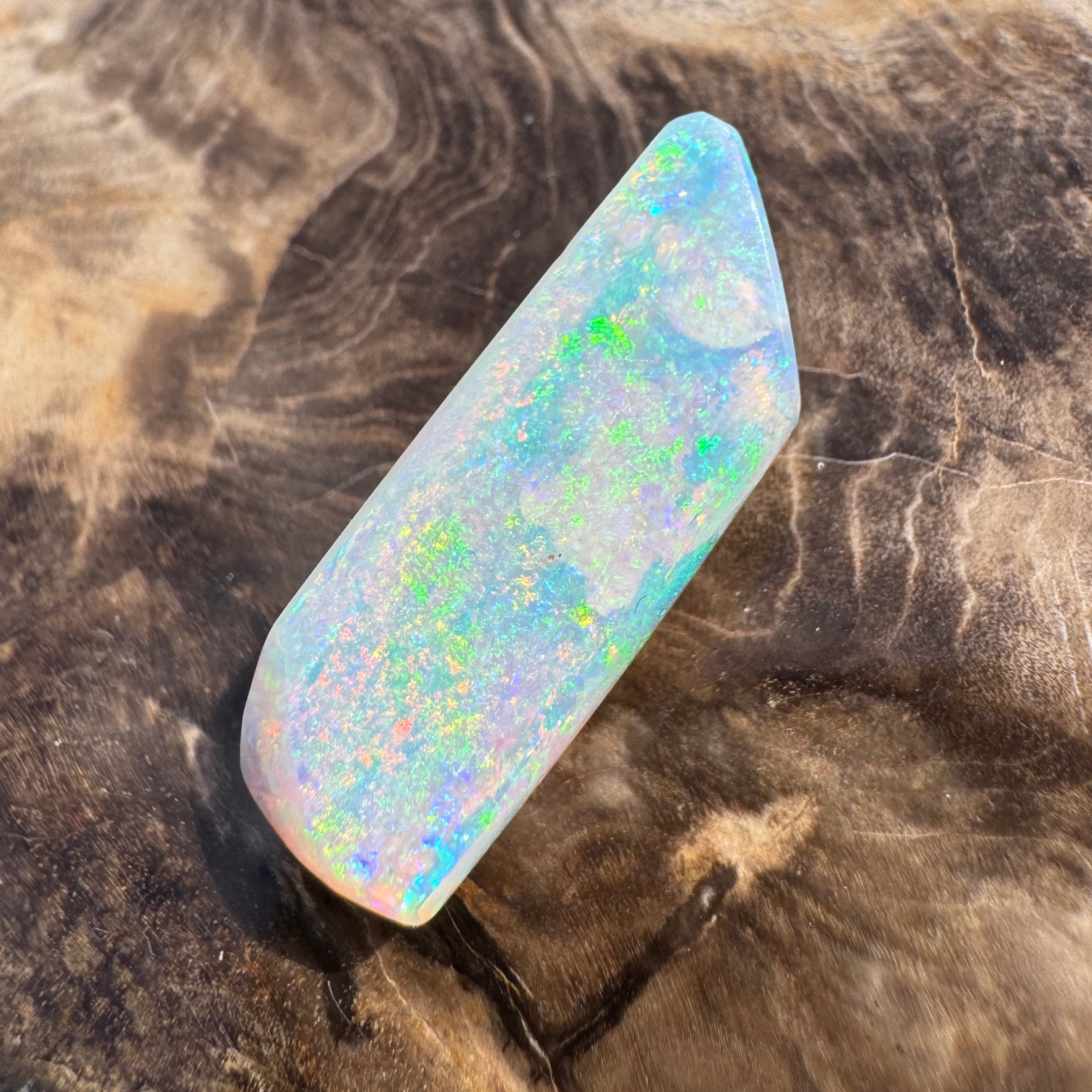11.6ct Coober Pedy Belemnite Opal | Solid Australian Opal | Hand-Cut