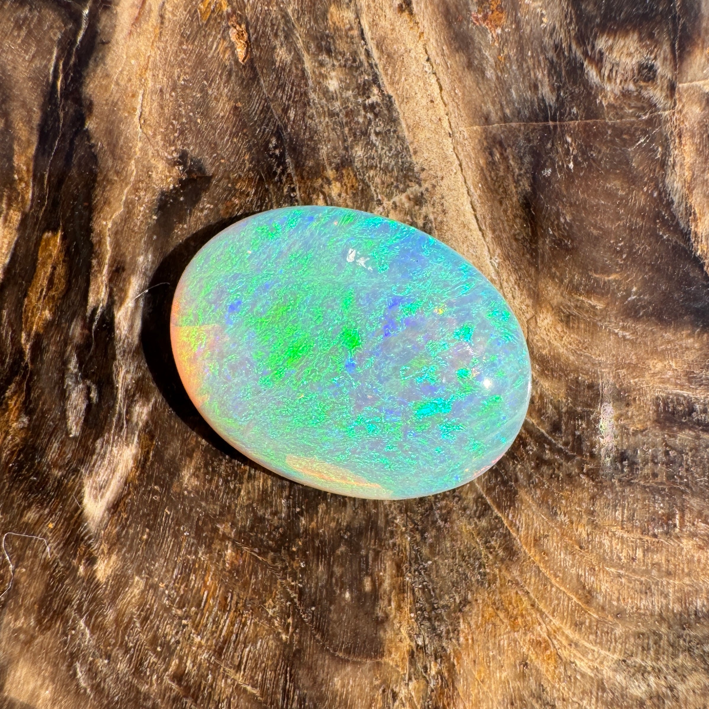 1.6ct Lightning Ridge Dark Crystal Opal | Solid Australian Opal | Hand-Cut