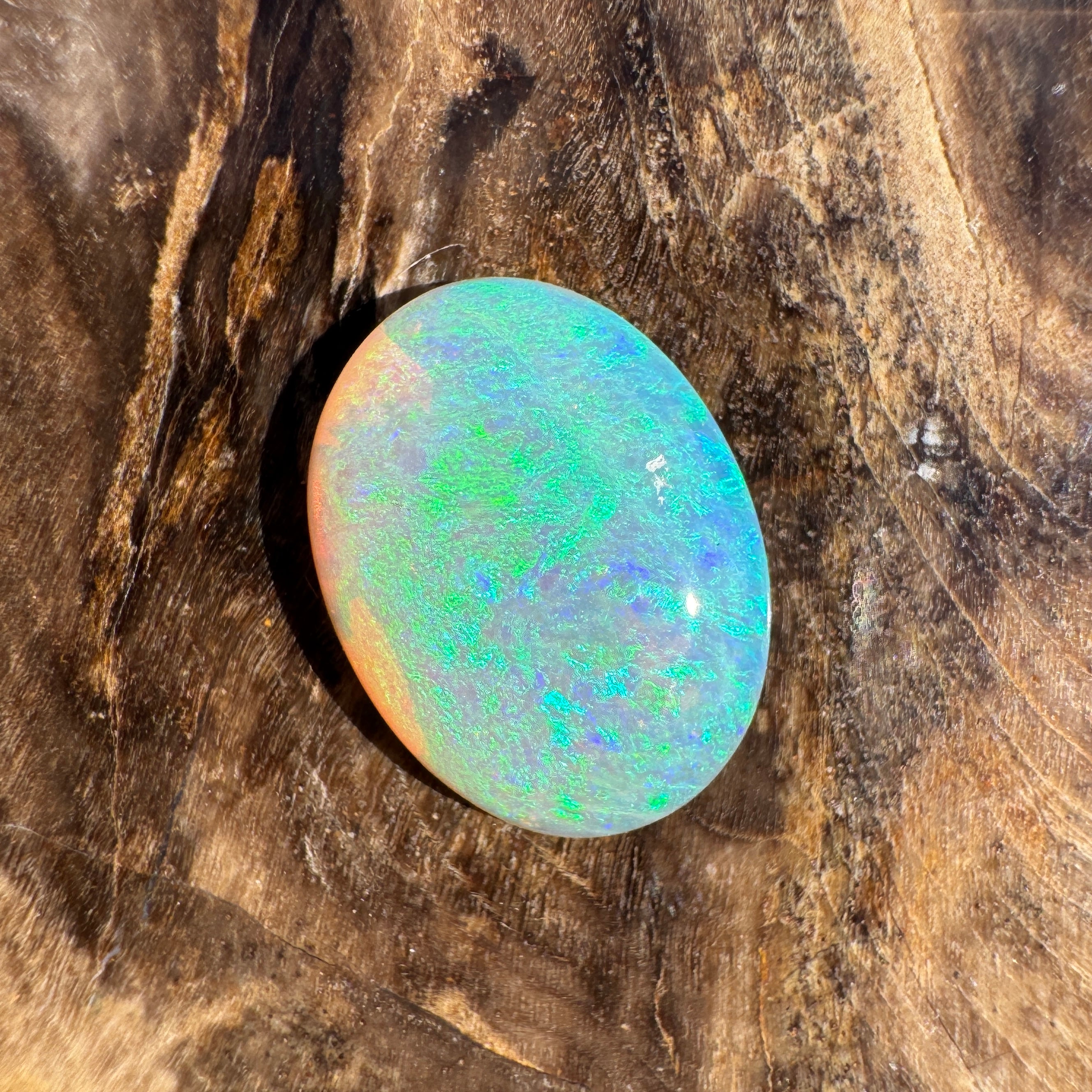 1.6ct Lightning Ridge Dark Crystal Opal | Solid Australian Opal | Hand-Cut