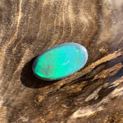 Lightning Ridge Black Opal 0.3carat Solid Hand-Cut