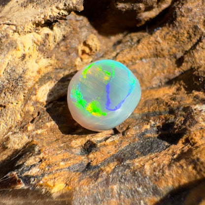 Lightning Ridge Semi Black Opal 0.9carat Solid Hand-Cut