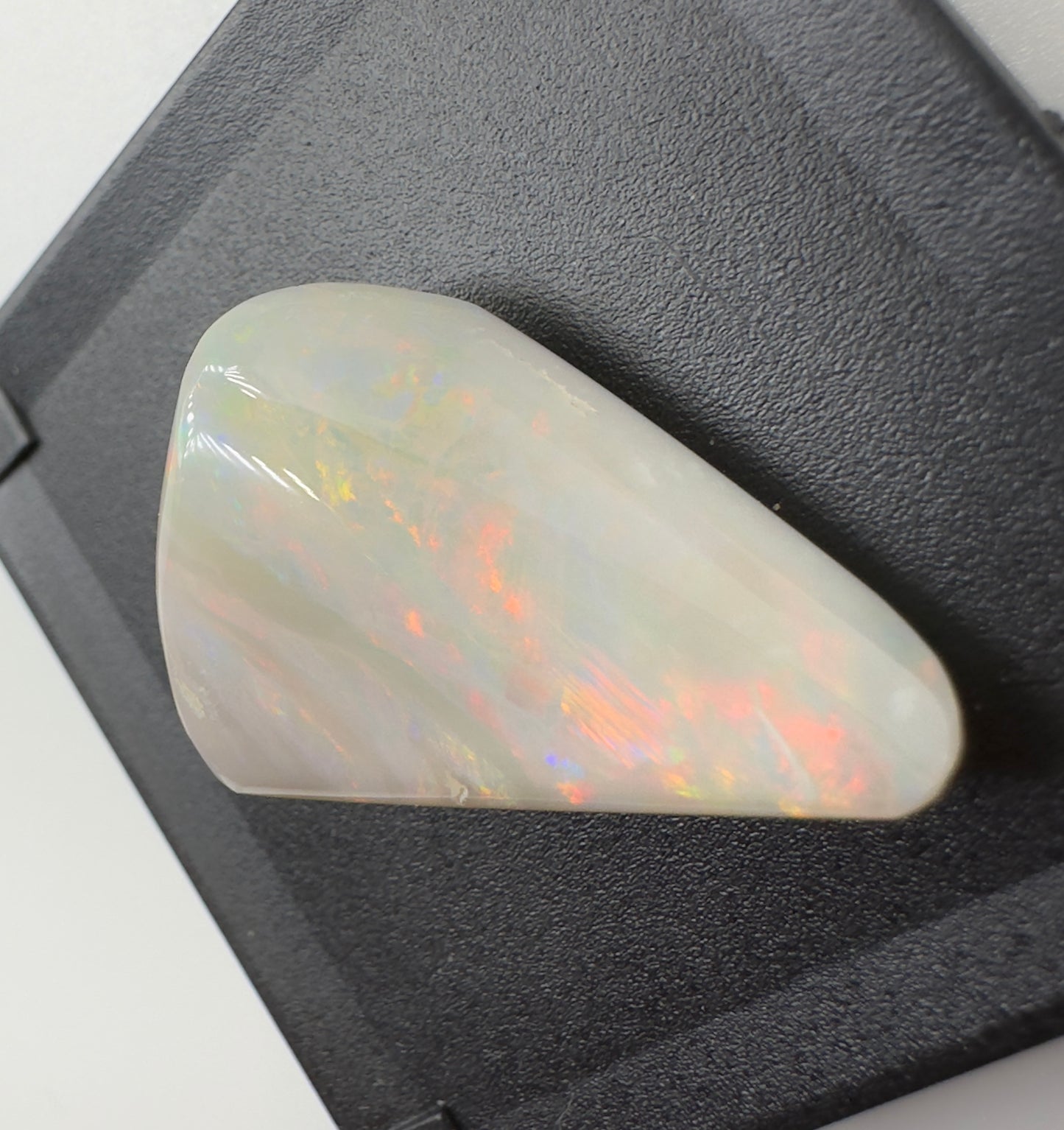 Australian Coober Pedy Opal Sea Shell 14.9carat Solid Hand Cut Luxury - Iona Opal Australia