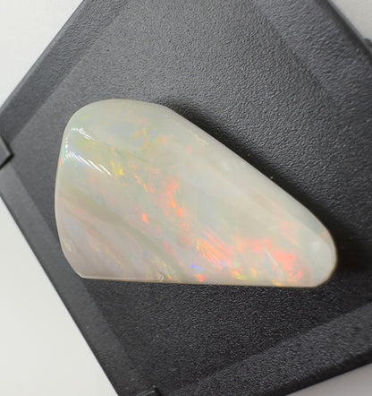 Australian Coober Pedy Opal Sea Shell 14.9carat Solid Hand Cut Luxury - Iona Opal Australia