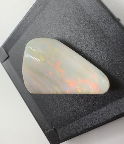 Australian Coober Pedy Opal Sea Shell 14.9carat Solid Hand Cut Luxury - Iona Opal Australia