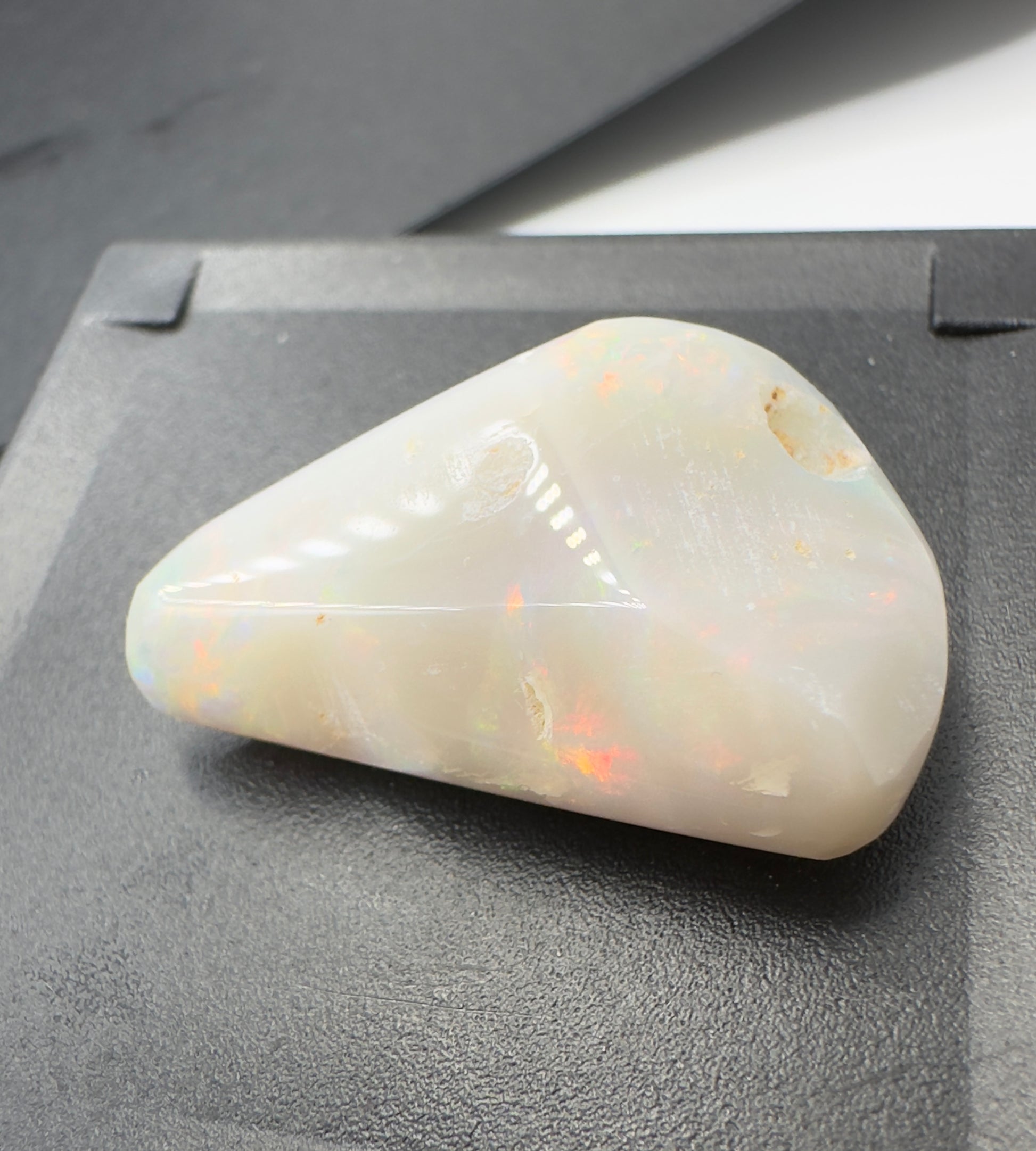 Australian Coober Pedy Opal Sea Shell 14.9carat Solid Hand Cut Luxury - Iona Opal Australia