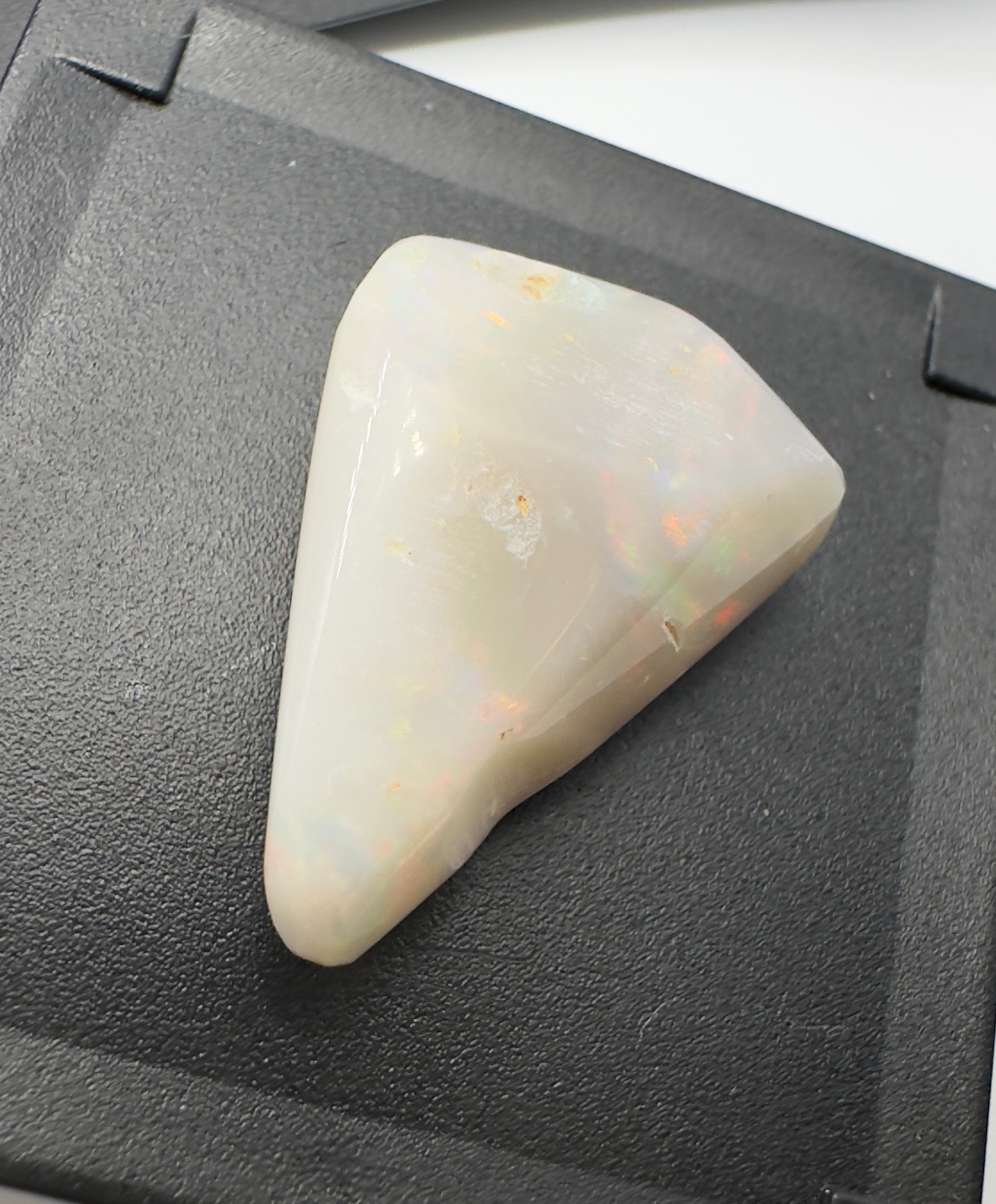 Australian Coober Pedy Opal Sea Shell 14.9carat Solid Hand Cut Luxury - Iona Opal Australia