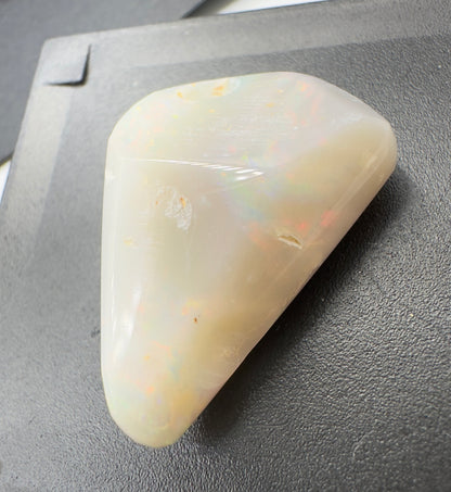 Australian Coober Pedy Opal Sea Shell 14.9carat Solid Hand Cut Luxury - Iona Opal Australia