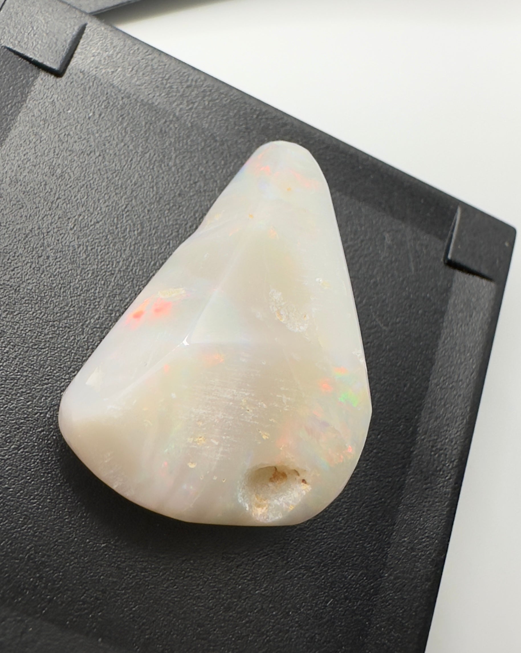 Australian Coober Pedy Opal Sea Shell 14.9carat Solid Hand Cut Luxury - Iona Opal Australia