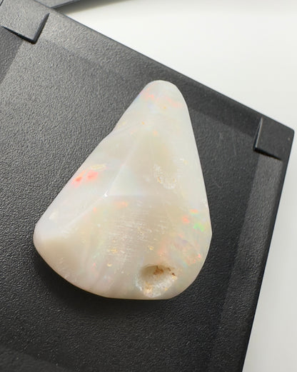 Australian Coober Pedy Opal Sea Shell 14.9carat Solid Hand Cut Luxury - Iona Opal Australia