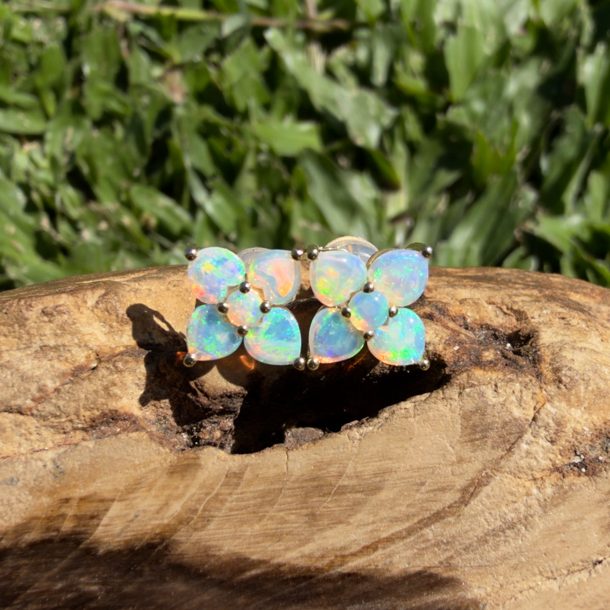1.2ct Coober Pedy Opal Flower Stud Earrings ~ 'Hunter Valley Blossom' | 9ct Yellow Gold | Solid Australian Opal