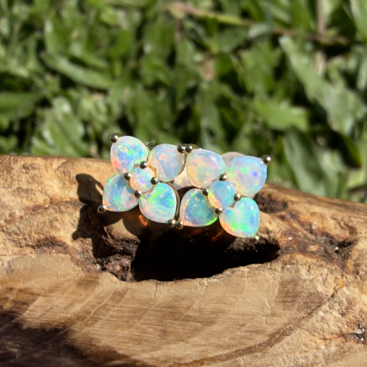 1.2ct Coober Pedy Opal Flower Stud Earrings ~ 'Hunter Valley Blossom' | 9ct Yellow Gold | Solid Australian Opal
