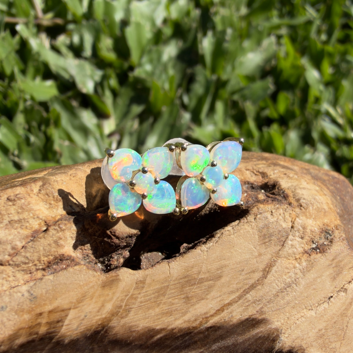 1.2ct Coober Pedy Opal Flower Stud Earrings ~ 'Hunter Valley Blossom' | 9ct Yellow Gold | Solid Australian Opal