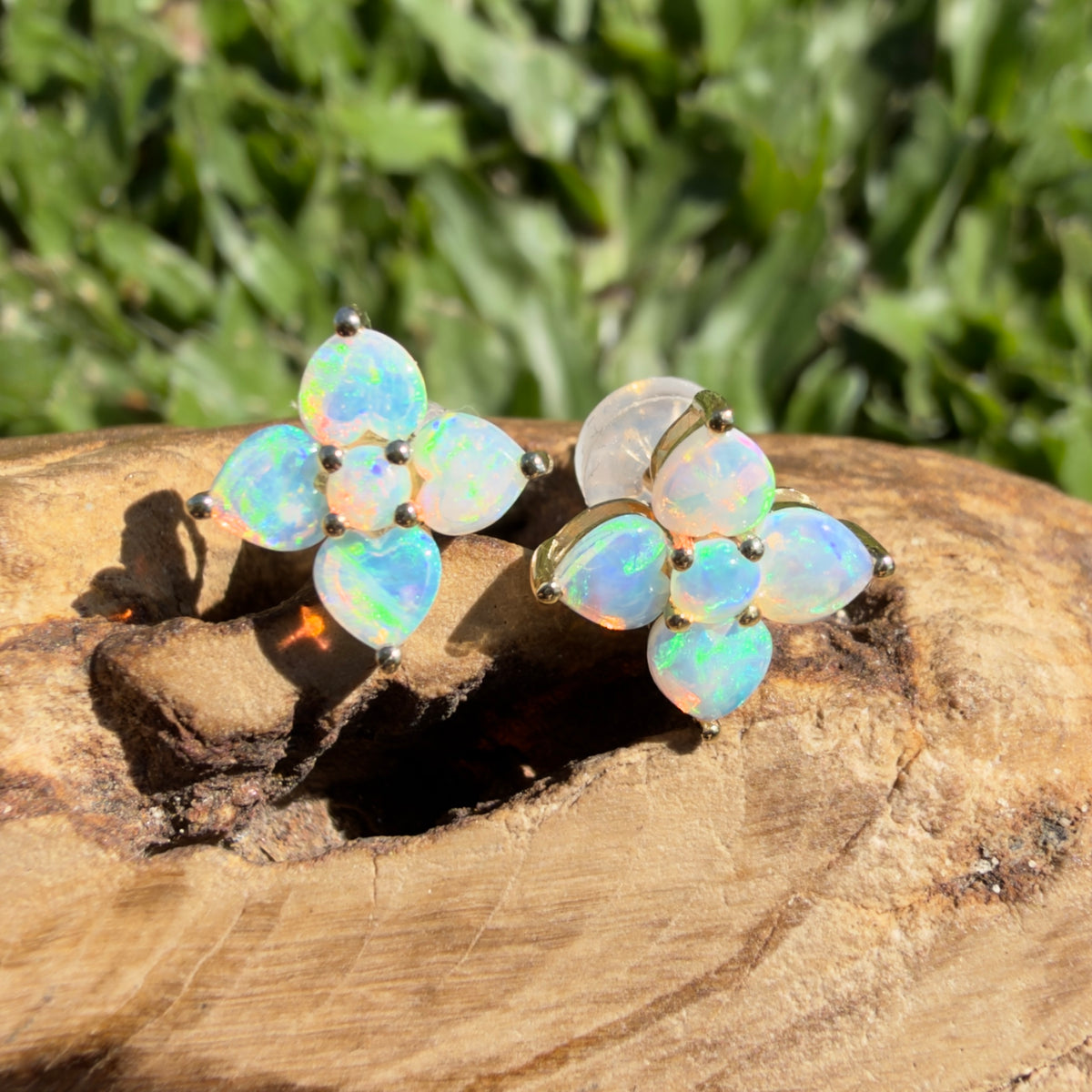 1.2ct Coober Pedy Opal Flower Stud Earrings ~ 'Hunter Valley Blossom' | 9ct Yellow Gold | Solid Australian Opal