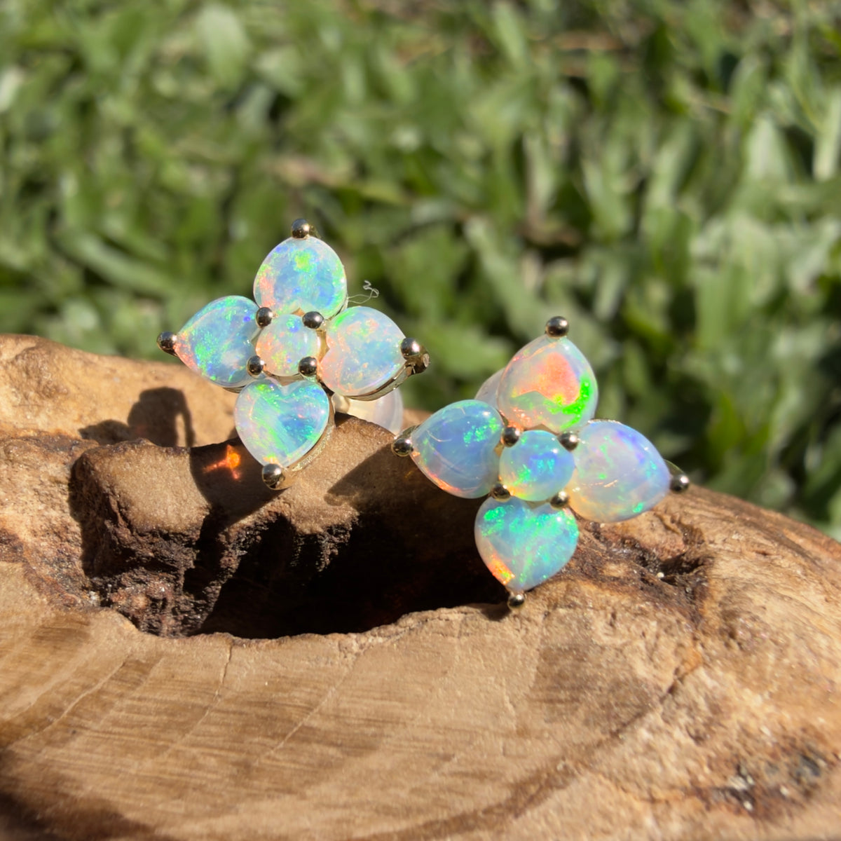 1.2ct Coober Pedy Opal Flower Stud Earrings ~ 'Hunter Valley Blossom' | 9ct Yellow Gold | Solid Australian Opal