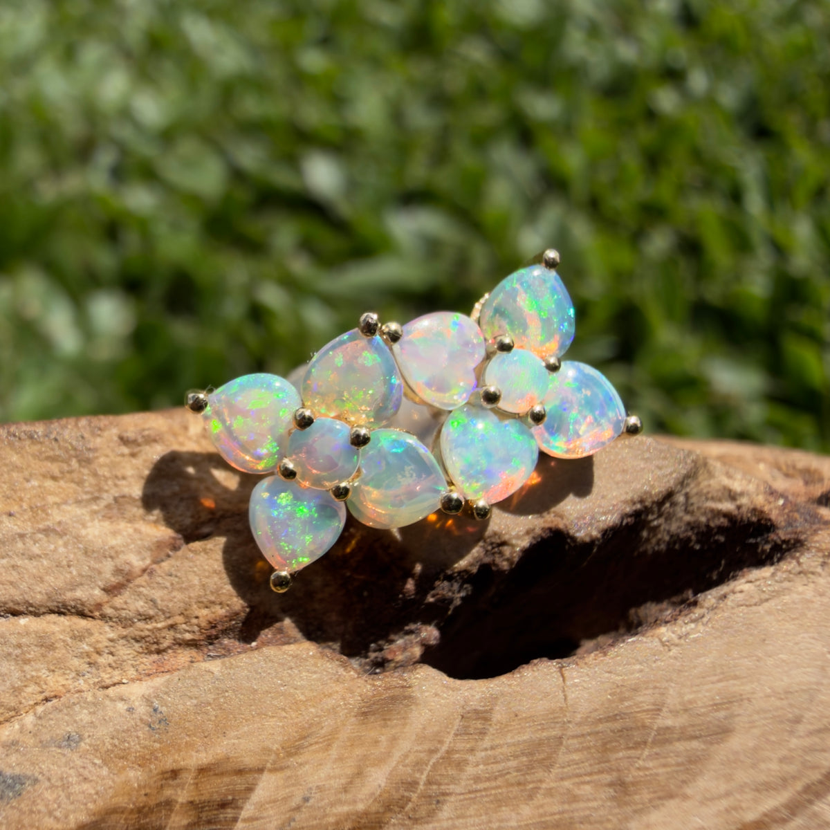 1.2ct Coober Pedy Opal Flower Stud Earrings ~ 'Adelaide Hills Blossom' | 9ct Yellow Gold | Solid Australian Opal