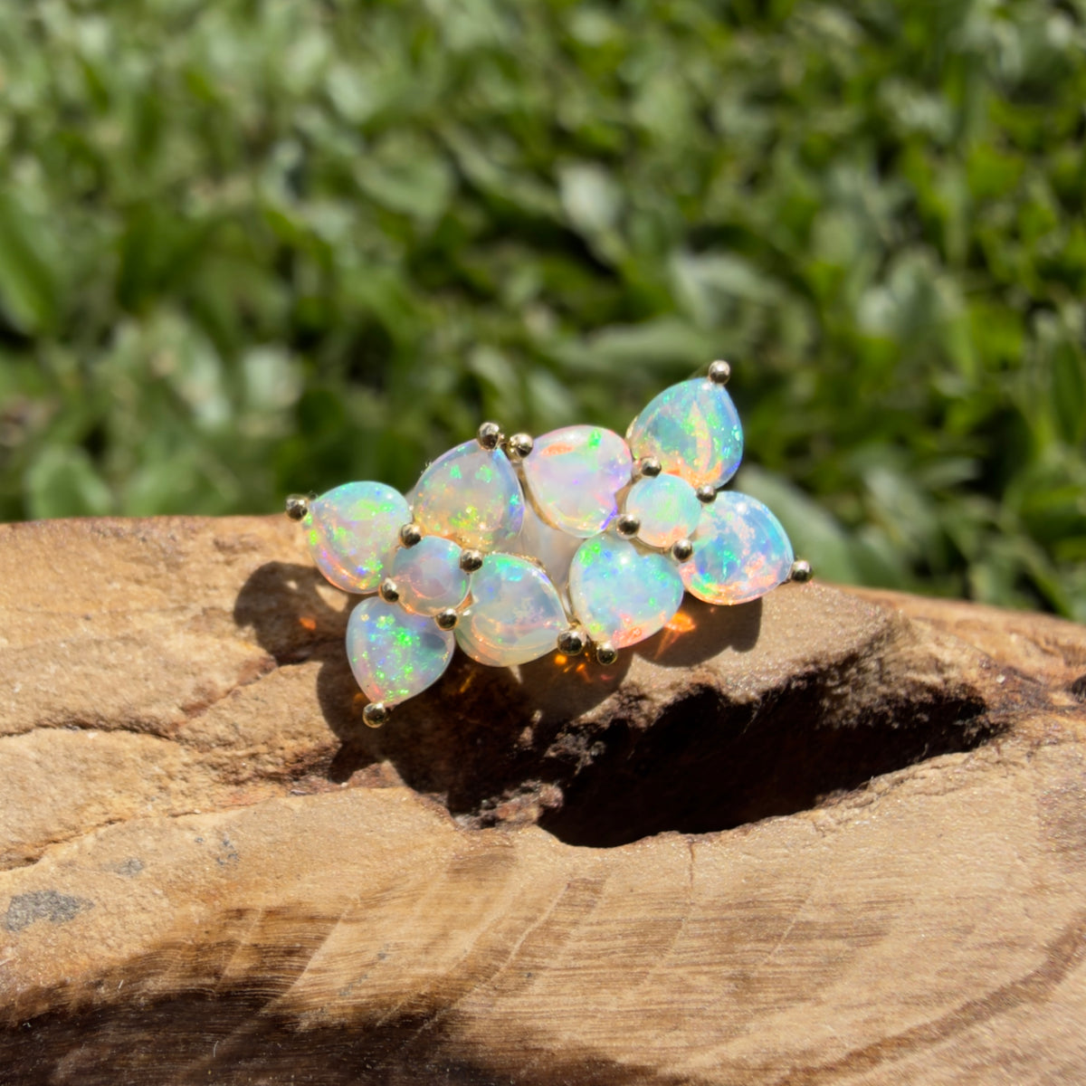 1.2ct Coober Pedy Opal Flower Stud Earrings ~ 'Adelaide Hills Blossom' | 9ct Yellow Gold | Solid Australian Opal
