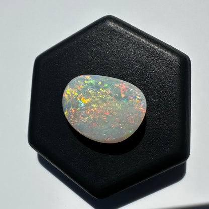 Lightning Ridge Opal 2.4carat Solid Hand-Cut Luxury | Iona Opal Australia