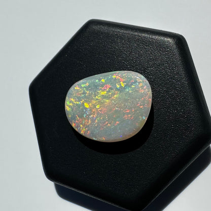 Lightning Ridge Opal 2.4carat Solid Hand-Cut Luxury - Iona Opal Australia