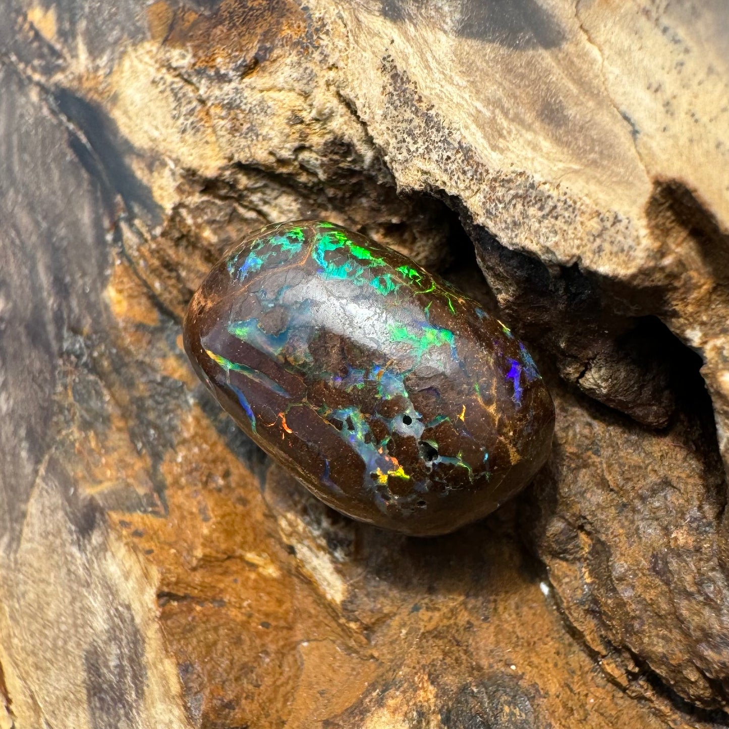 Queensland Boulder Opal 9.5carat Solid Hand-Cut Luxury