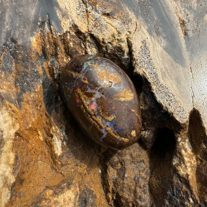 Queensland Boulder Opal 9.5carat Solid Hand-Cut Luxury