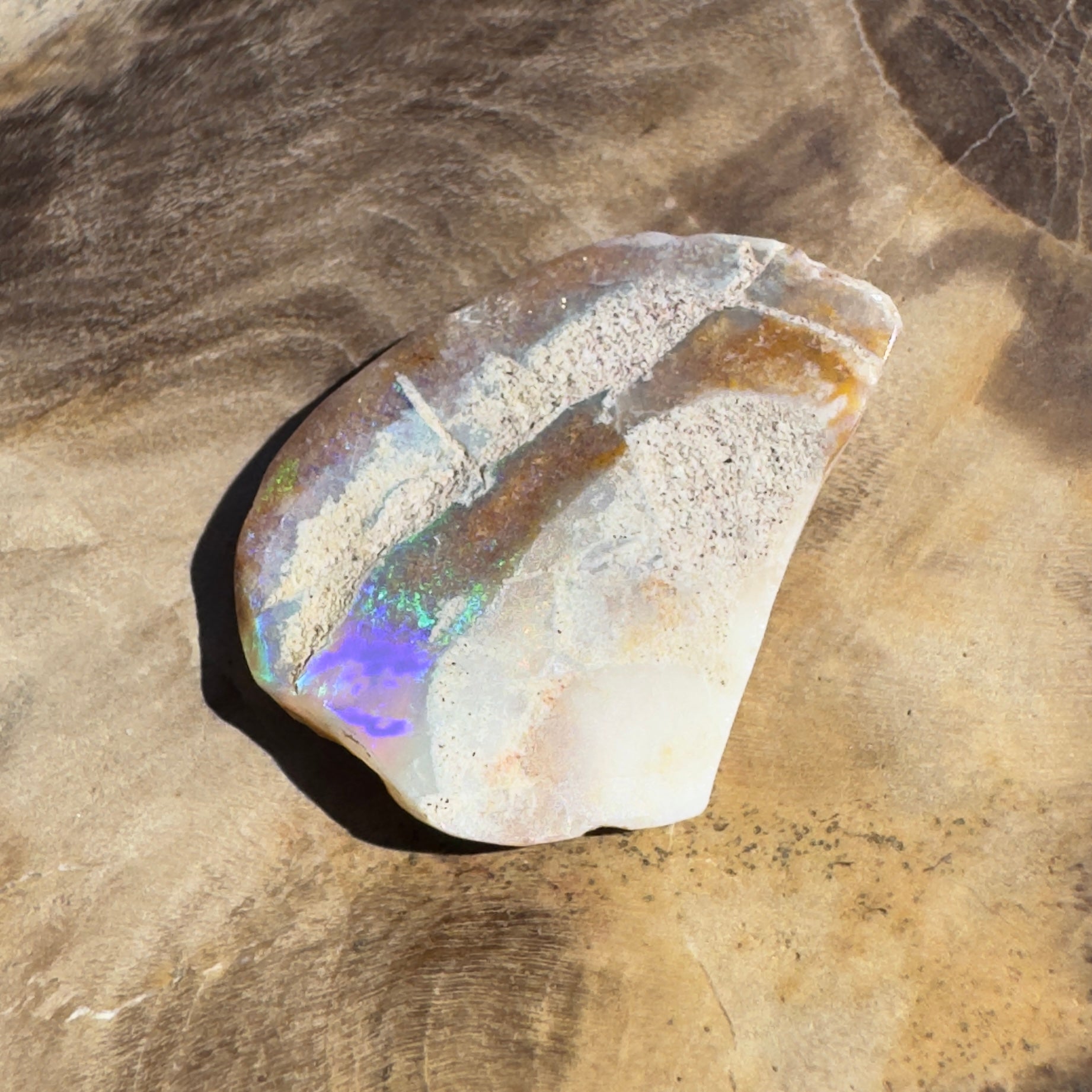 2.8ct Coober Pedy Fossil Specimen | Solid Australian Opal