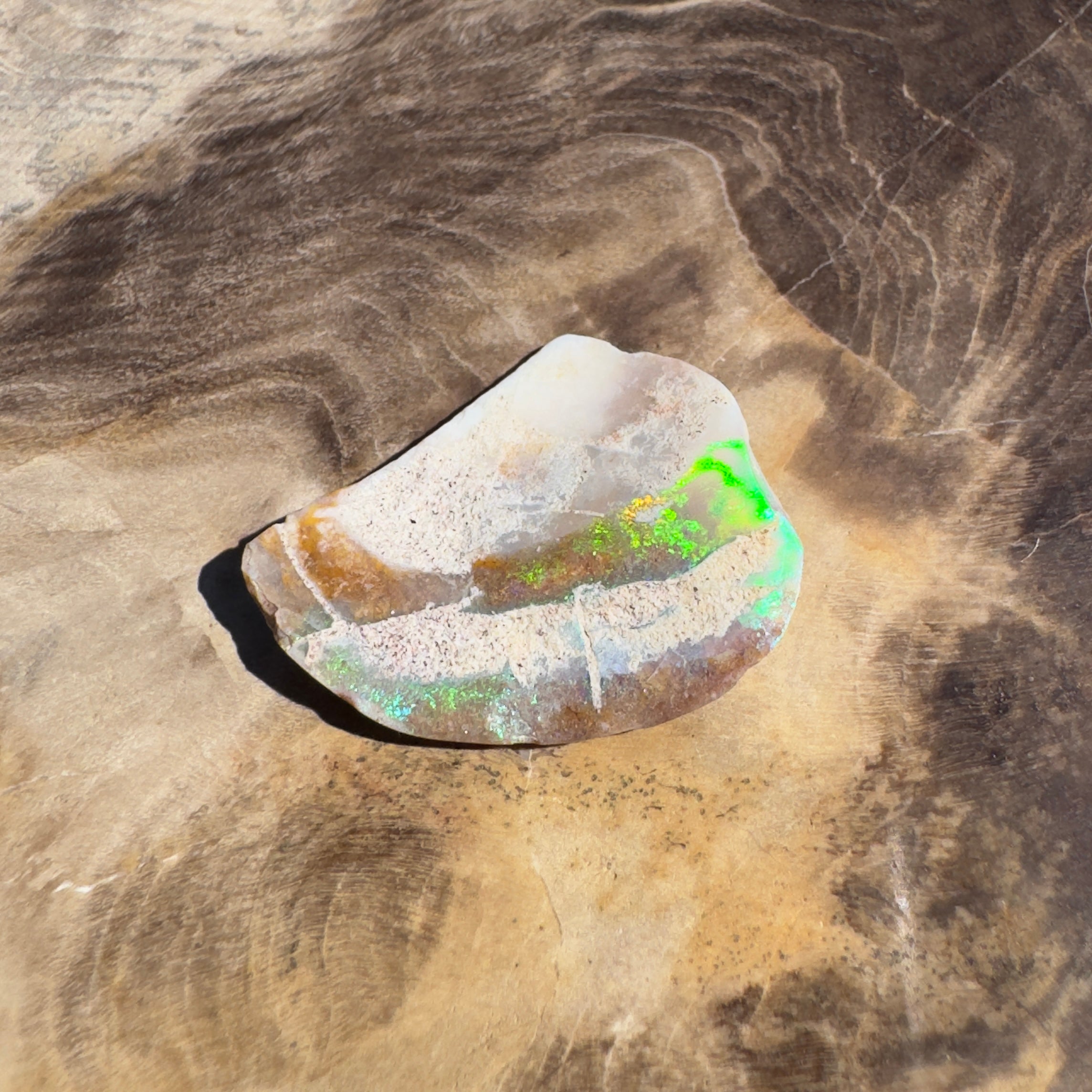 2.8ct Coober Pedy Fossil Specimen | Solid Australian Opal