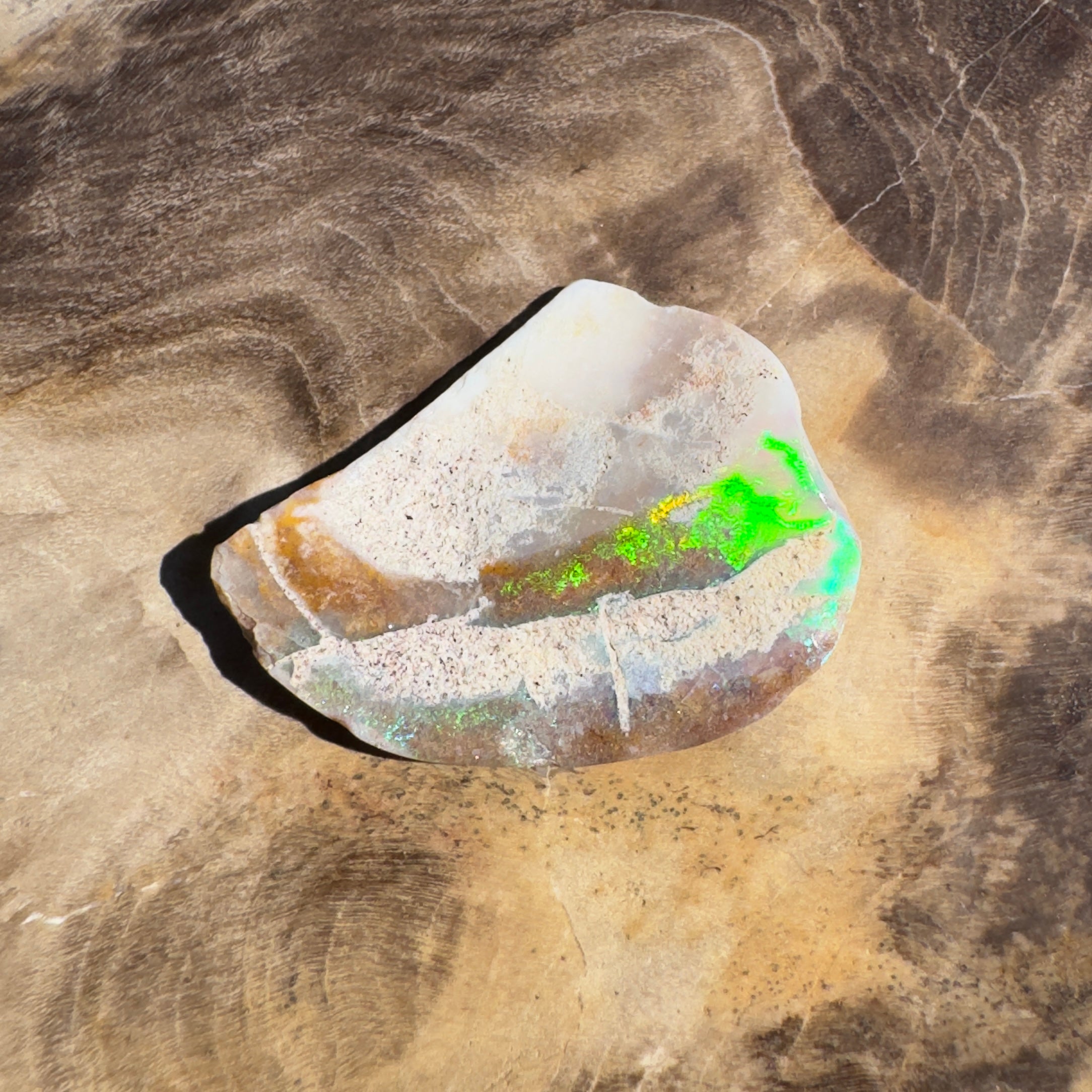 2.8ct Coober Pedy Fossil Specimen | Solid Australian Opal