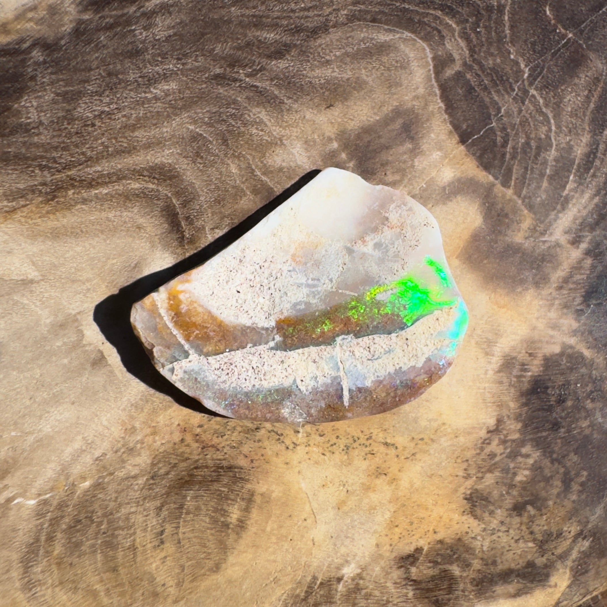 2.8ct Coober Pedy Fossil Specimen | Solid Australian Opal