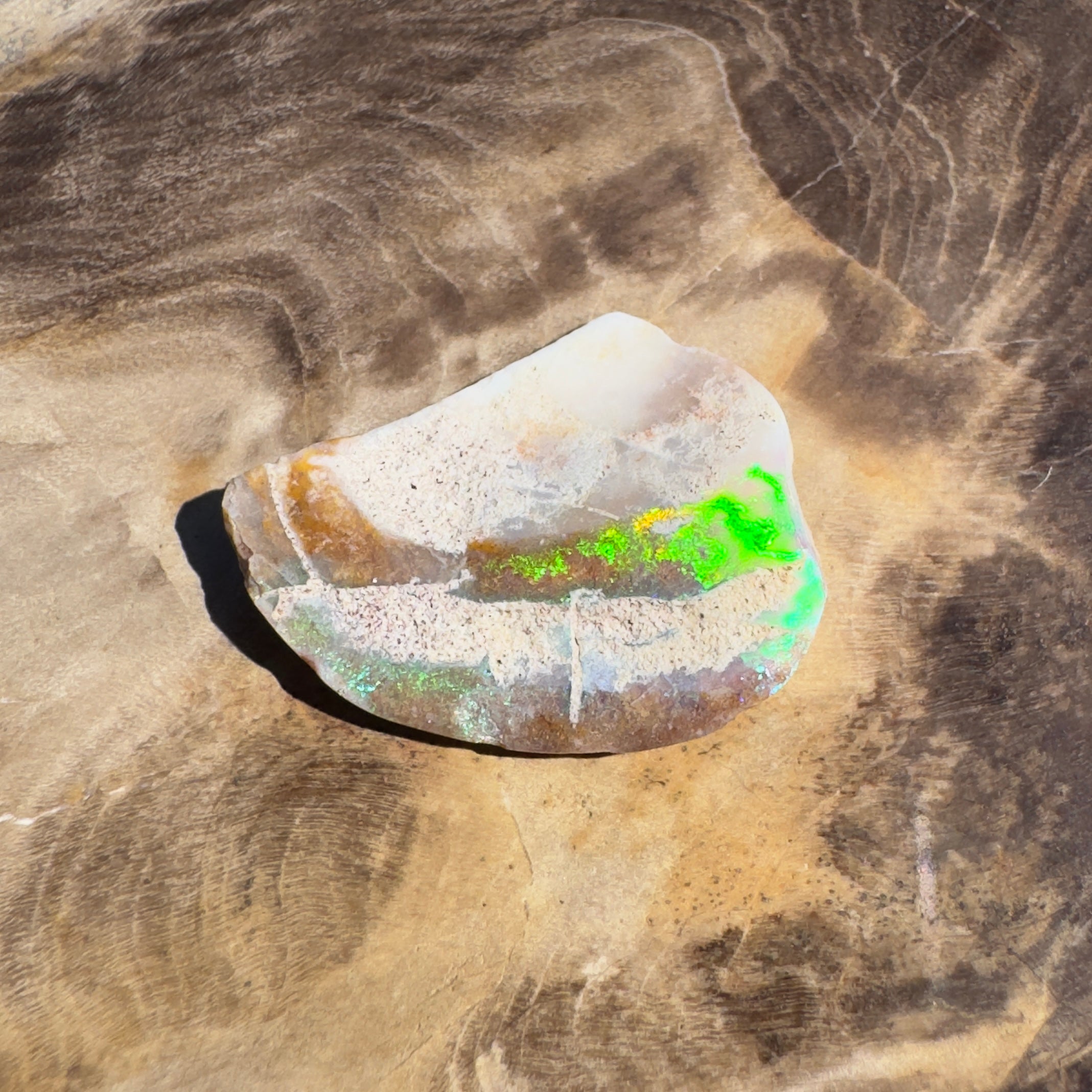 2.8ct Coober Pedy Fossil Specimen | Solid Australian Opal