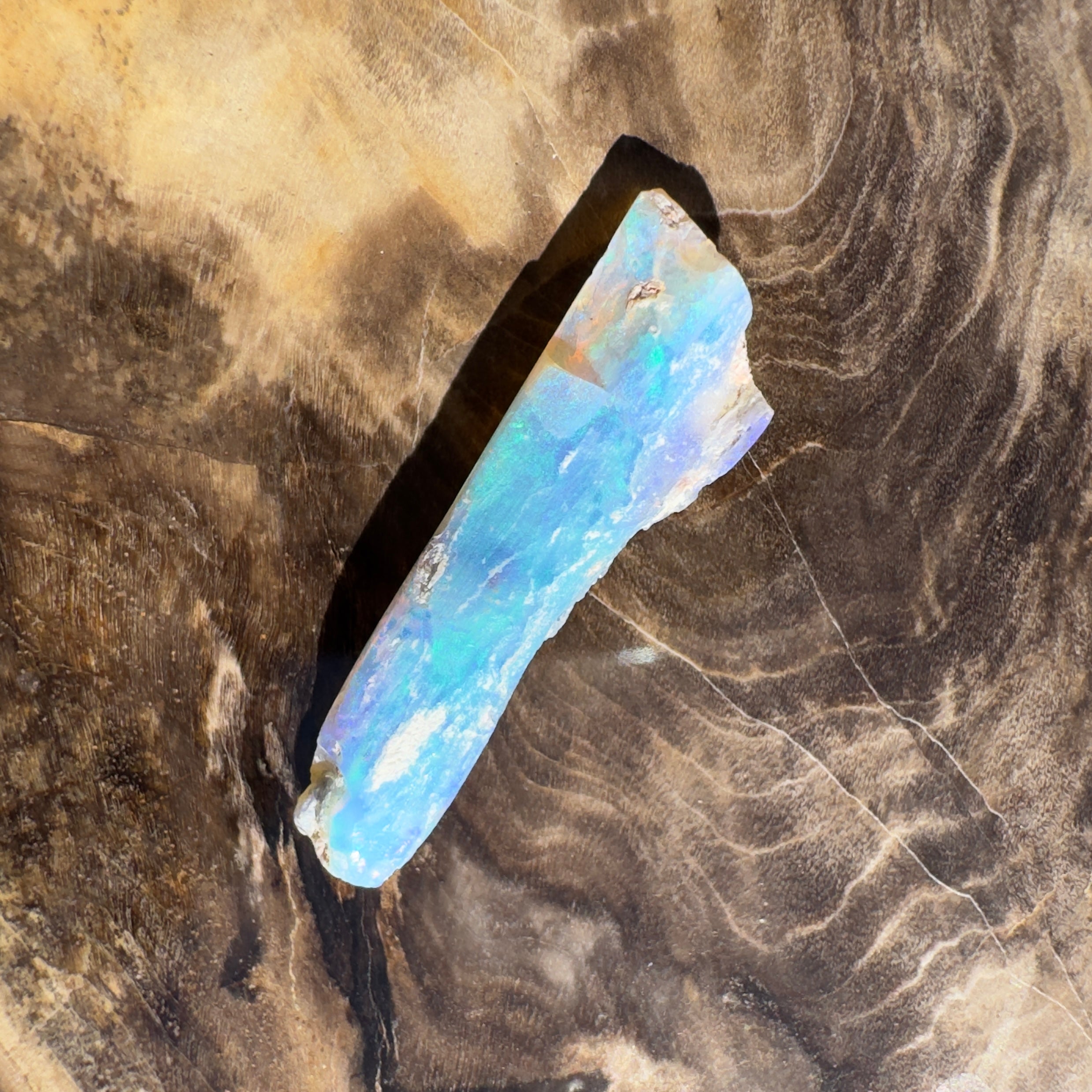 4.2ct Coober Pedy Fossil | Solid Australian Opal | Hand-Cut