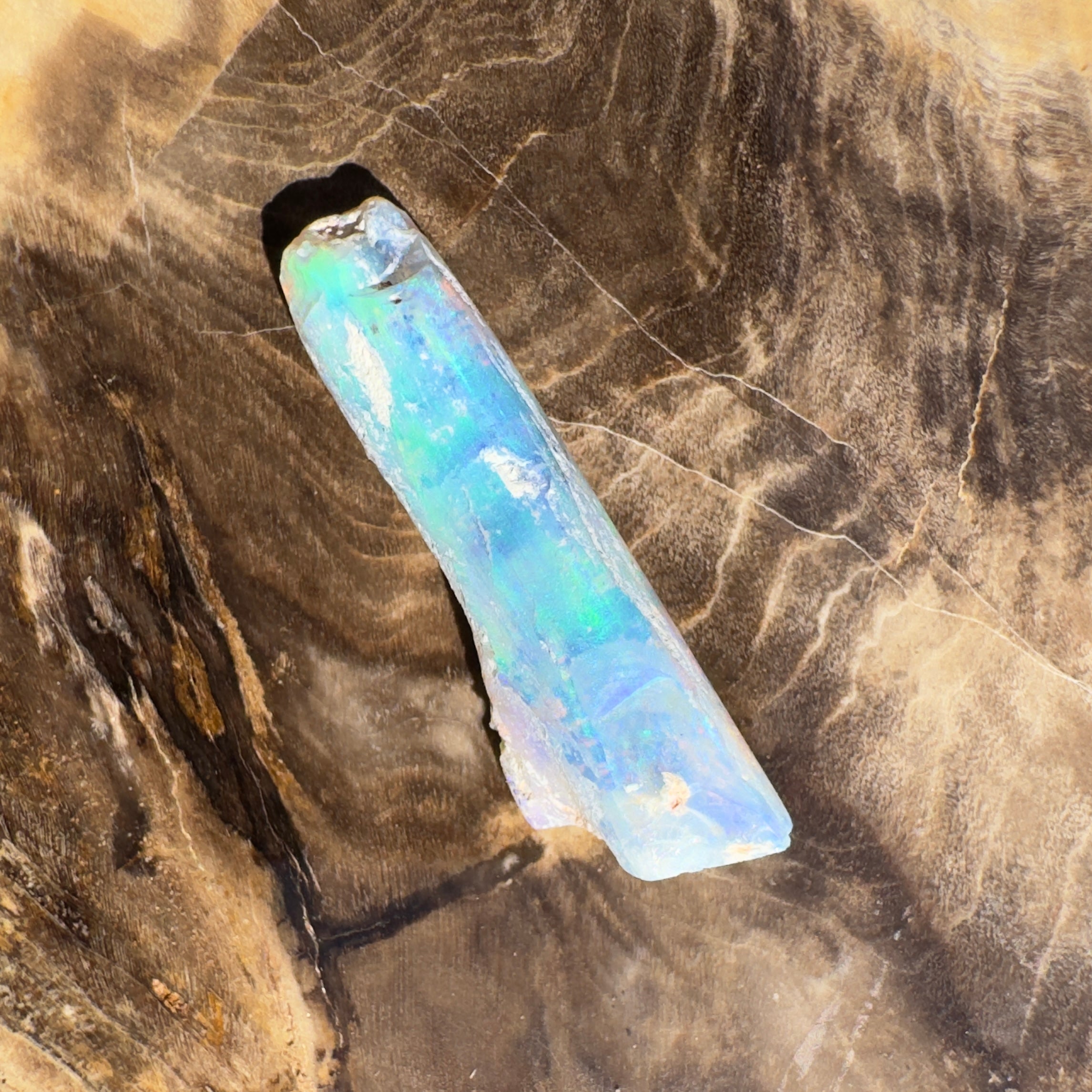 4.2ct Coober Pedy Fossil | Solid Australian Opal | Hand-Cut