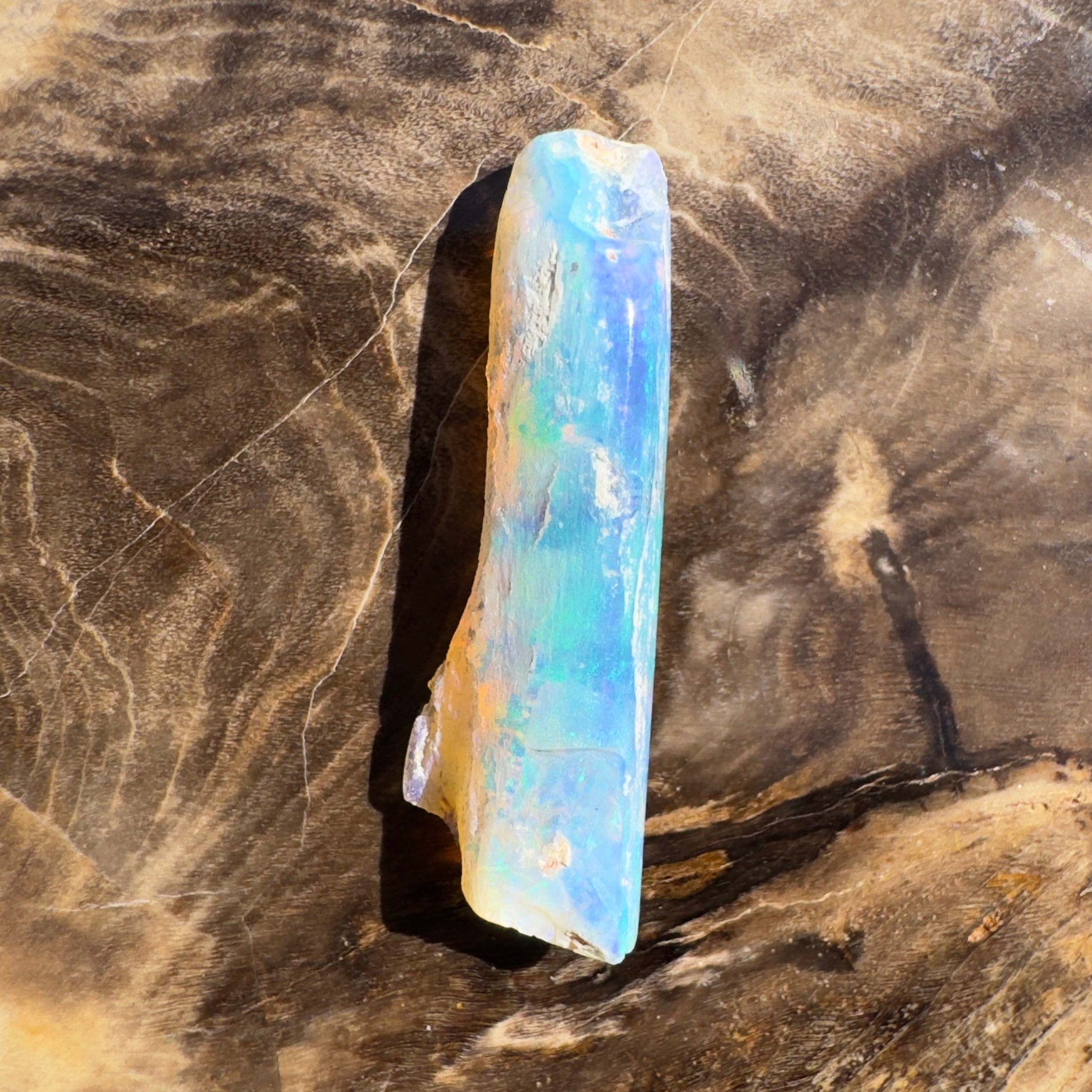 4.2ct Coober Pedy Fossil | Solid Australian Opal | Hand-Cut