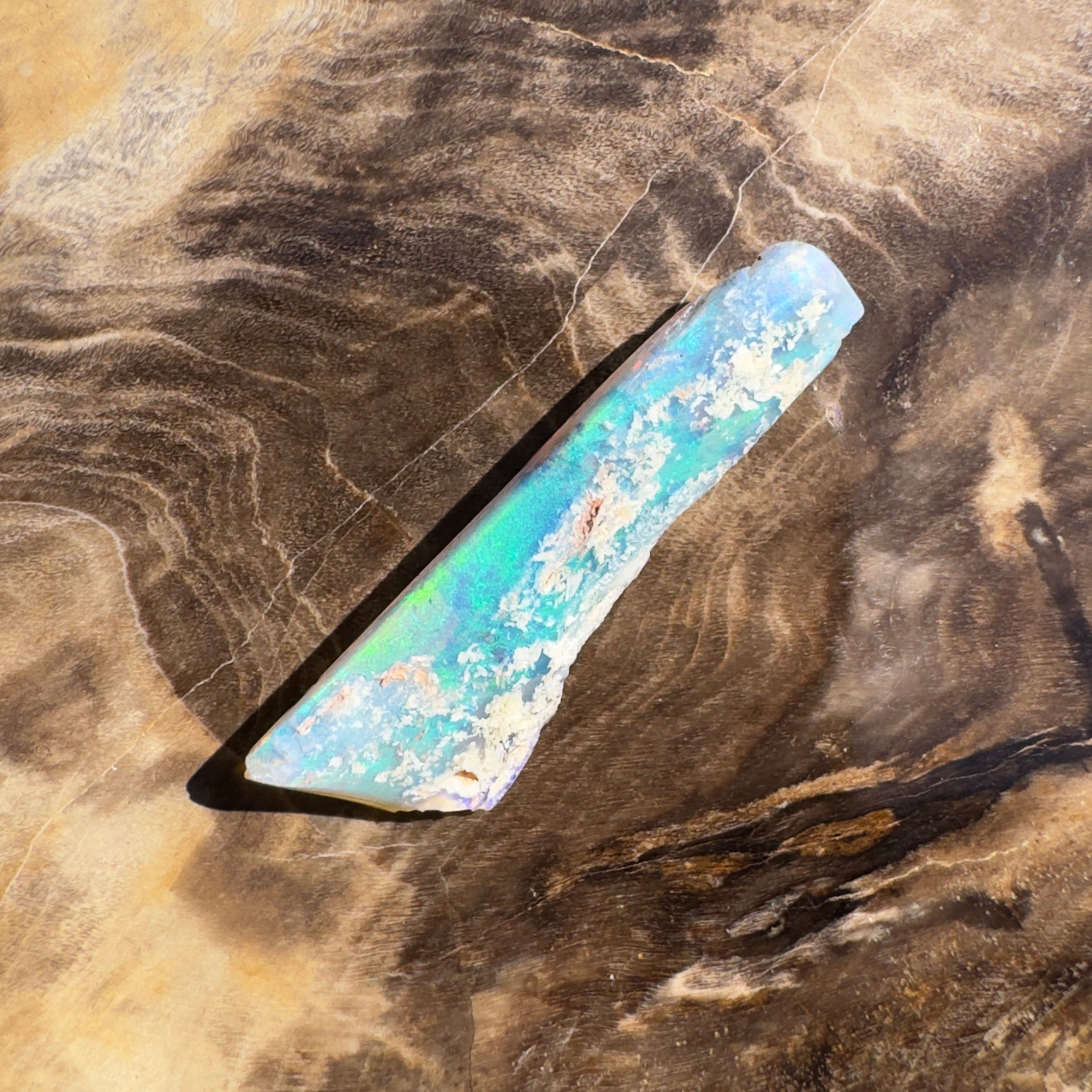 4.2ct Coober Pedy Fossil | Solid Australian Opal | Hand-Cut