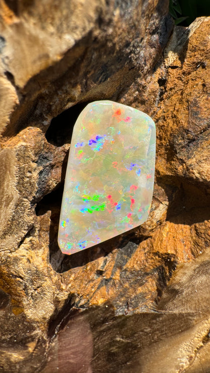 Coober Pedy Belemnite Opal (Fossil Opal Squid) 5.8carat Solid Hand-Cut - Iona Opal Australia