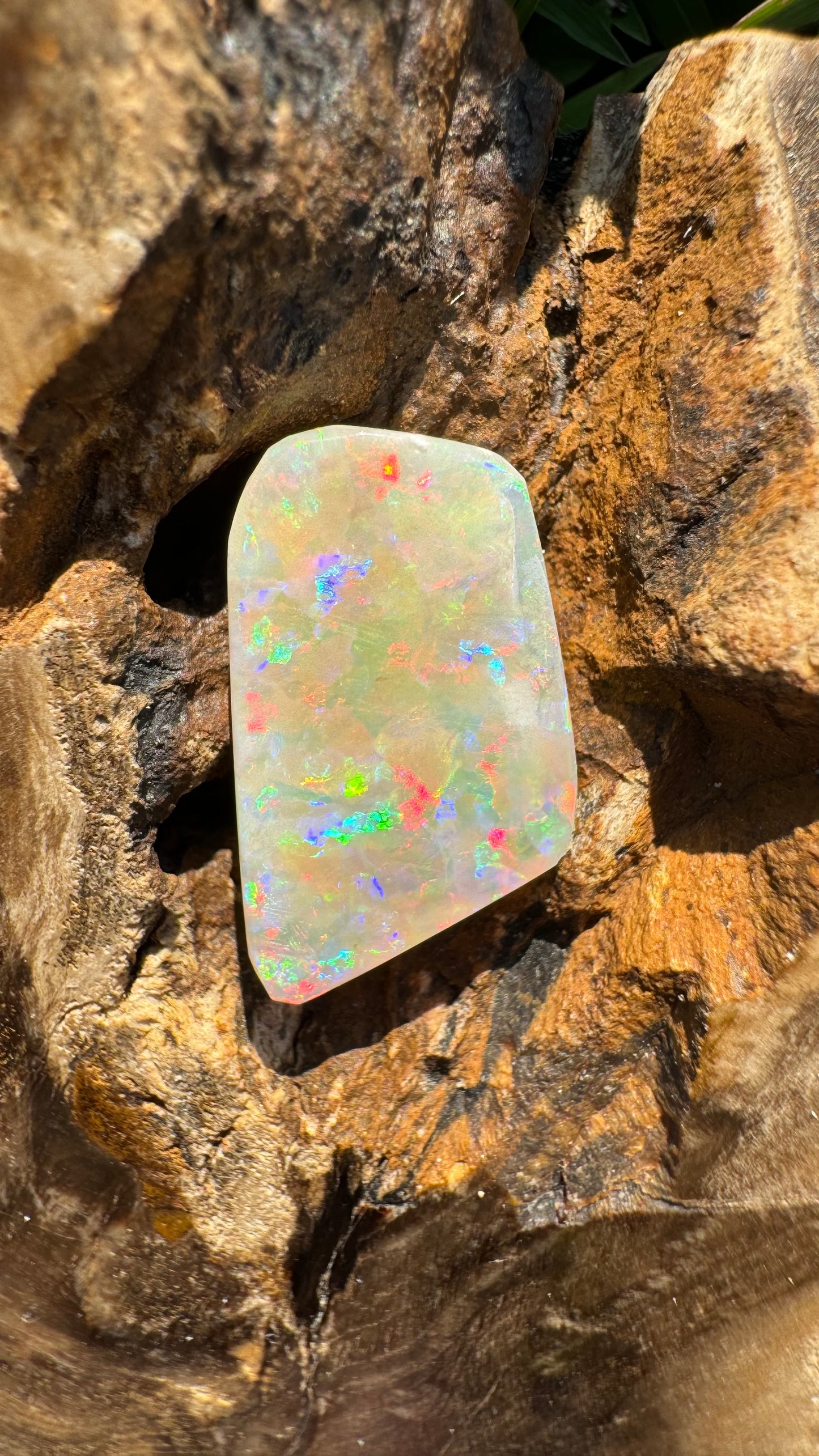 Coober Pedy Belemnite Opal (Fossil Opal Squid) 5.8carat Solid Hand-Cut - Iona Opal Australia