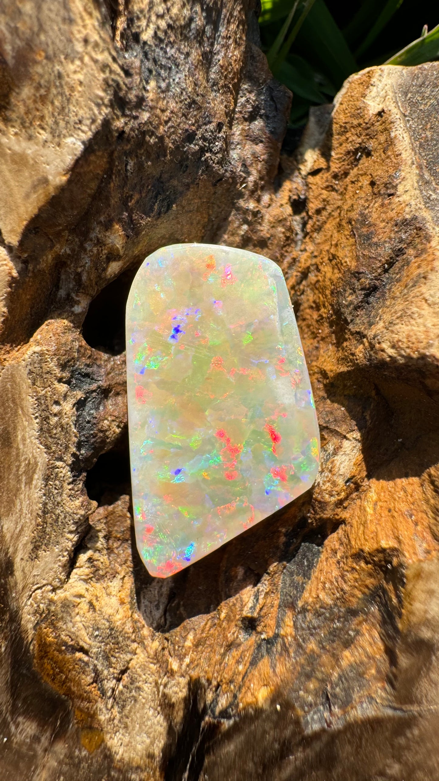 Coober Pedy Belemnite Opal (Fossil Opal Squid) 5.8carat Solid Hand-Cut - Iona Opal Australia