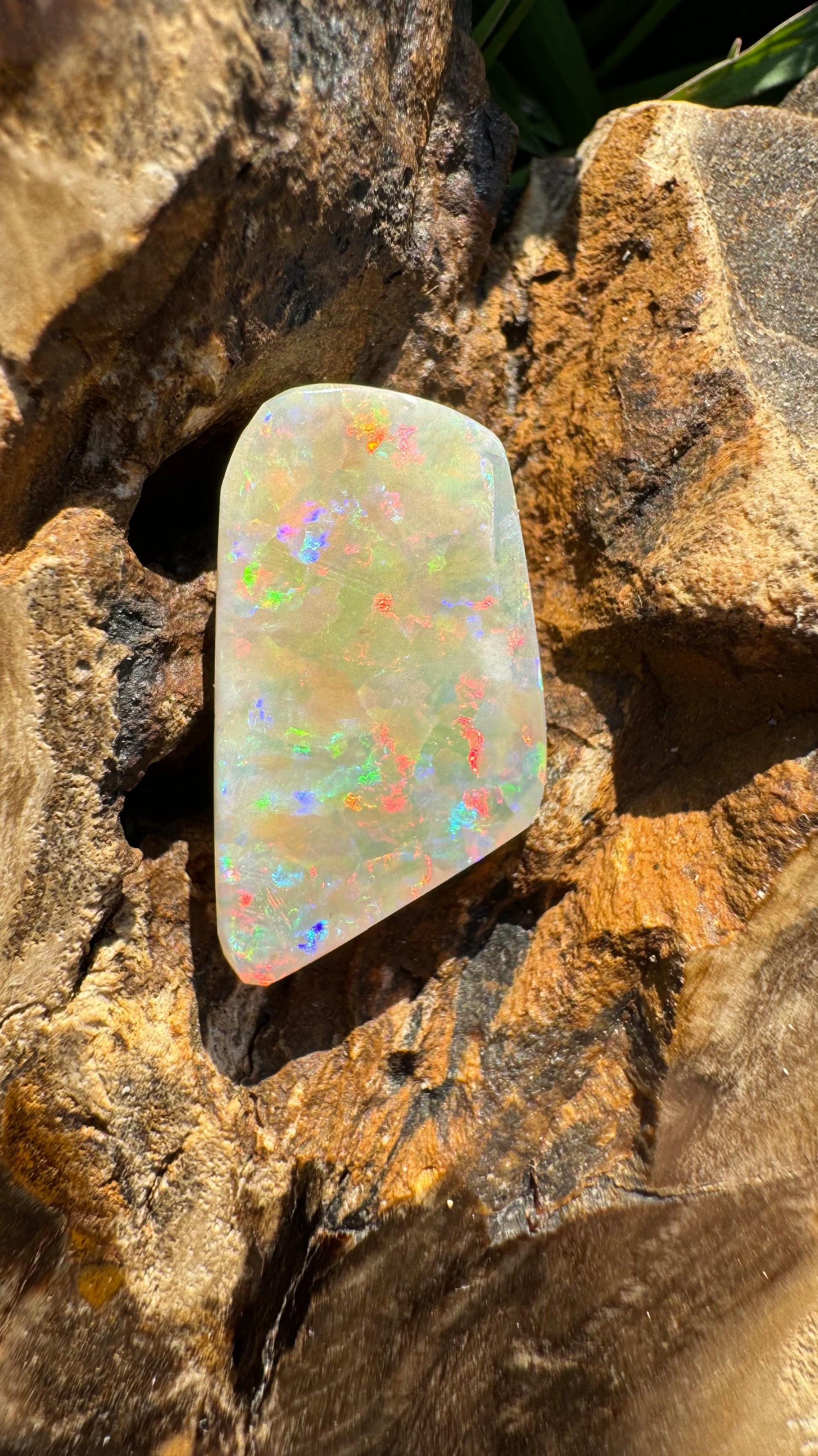 Coober Pedy Belemnite Opal (Fossil Opal Squid) 5.8carat Solid Hand-Cut - Iona Opal Australia