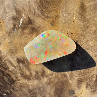 Coober Pedy Belemnite Opal (Fossil Opal Squid) 5.8carat Solid Hand-Cut - Iona Opal Australia