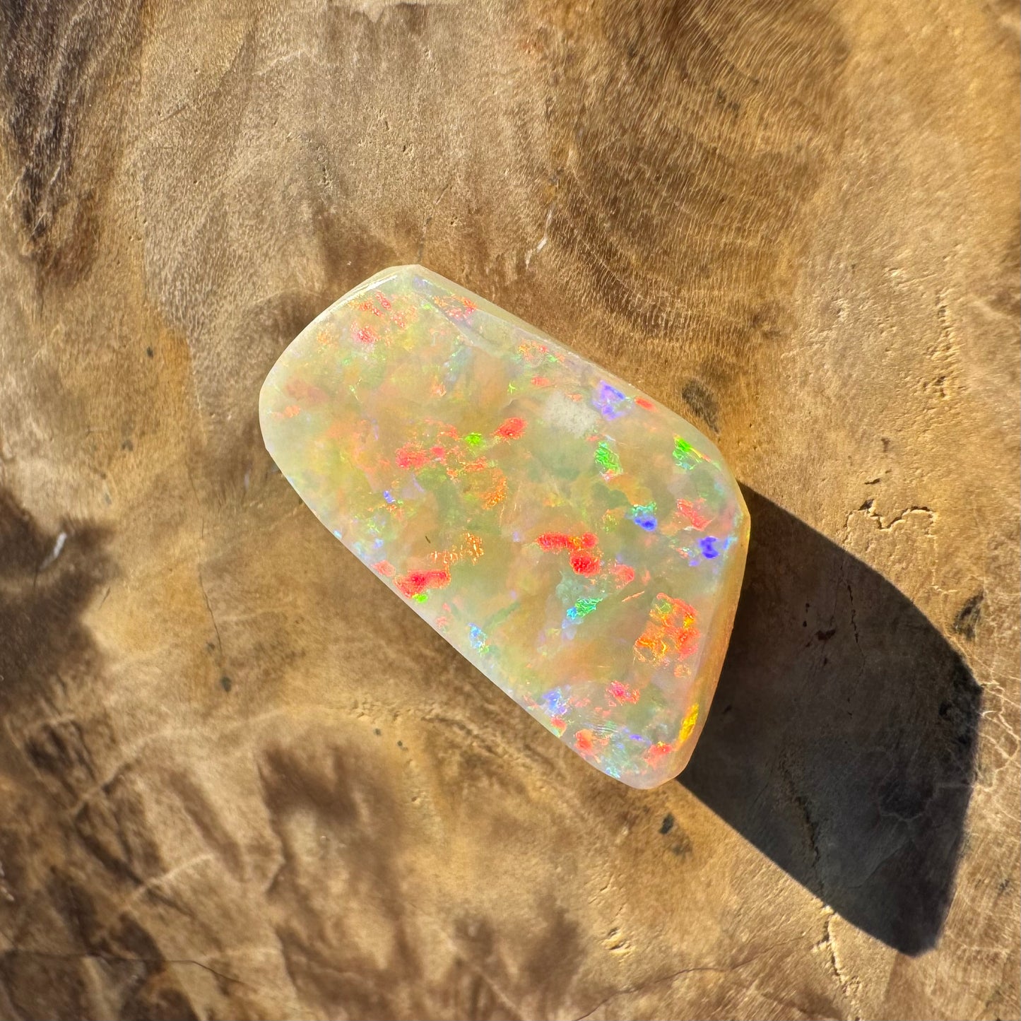 Coober Pedy Belemnite Opal (Fossil Opal Squid) 5.8carat Solid Hand-Cut - Iona Opal Australia