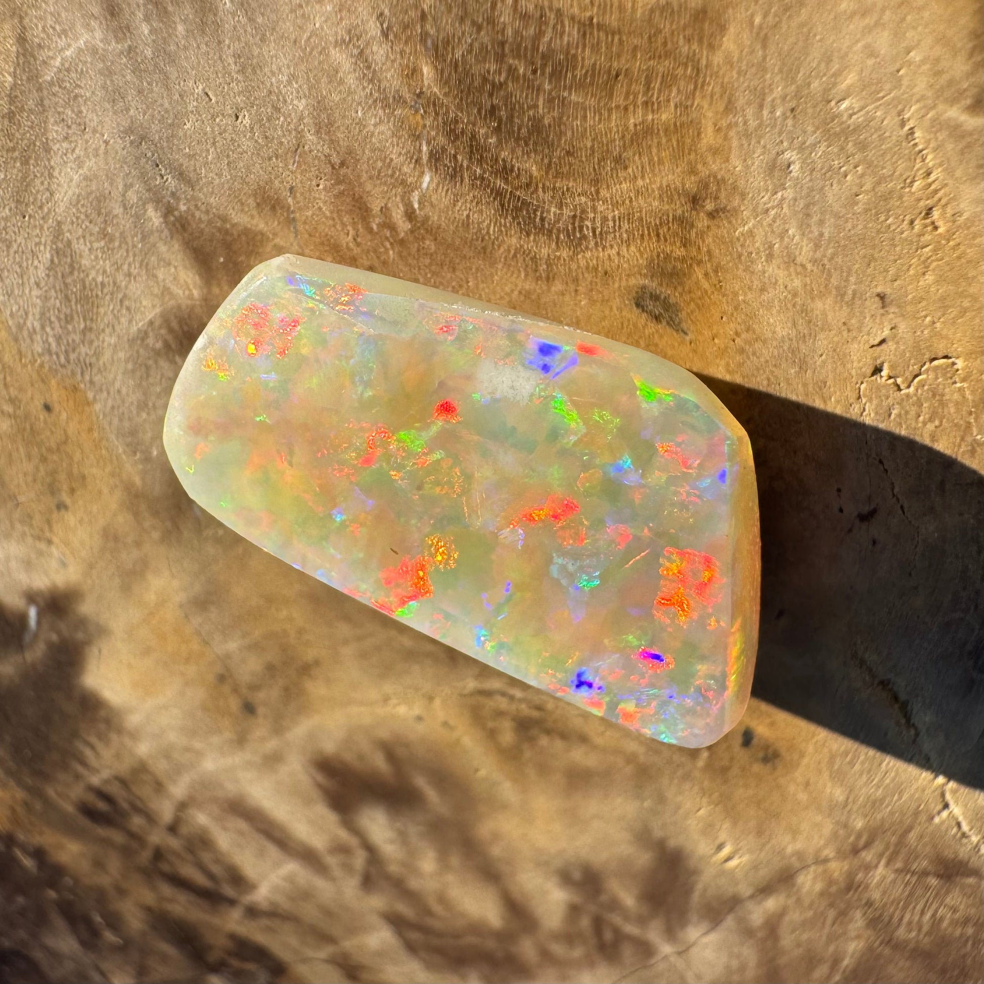 Coober Pedy Belemnite Opal (Fossil Opal Squid) 5.8carat Solid Hand-Cut - Iona Opal Australia