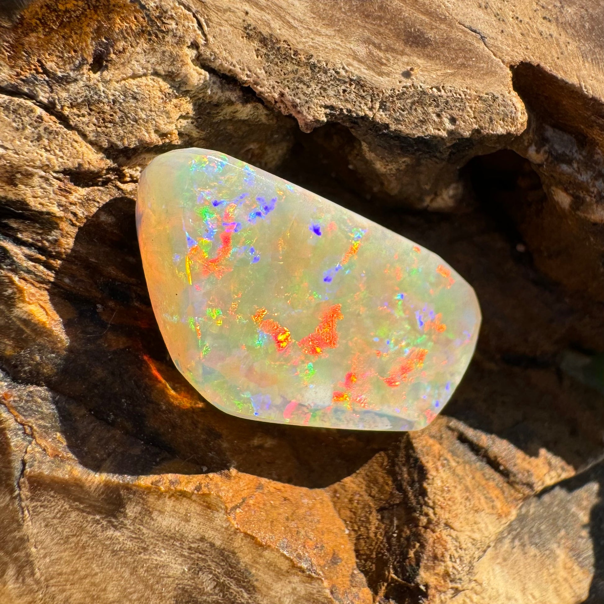 Coober Pedy Belemnite Opal (Fossil Opal Squid) 5.8carat Solid Hand-Cut - Iona Opal Australia