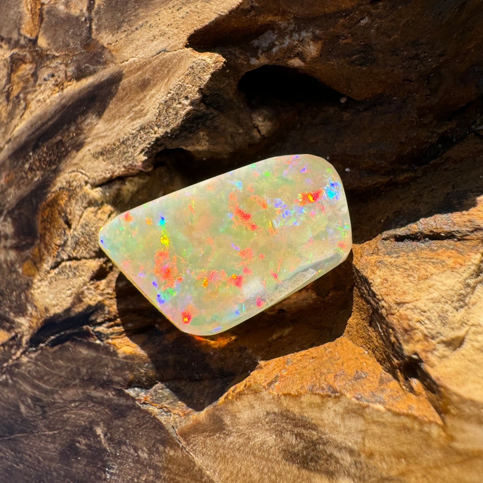 Coober Pedy Belemnite Opal (Fossil Opal Squid) 5.8carat Solid Hand-Cut - Iona Opal Australia