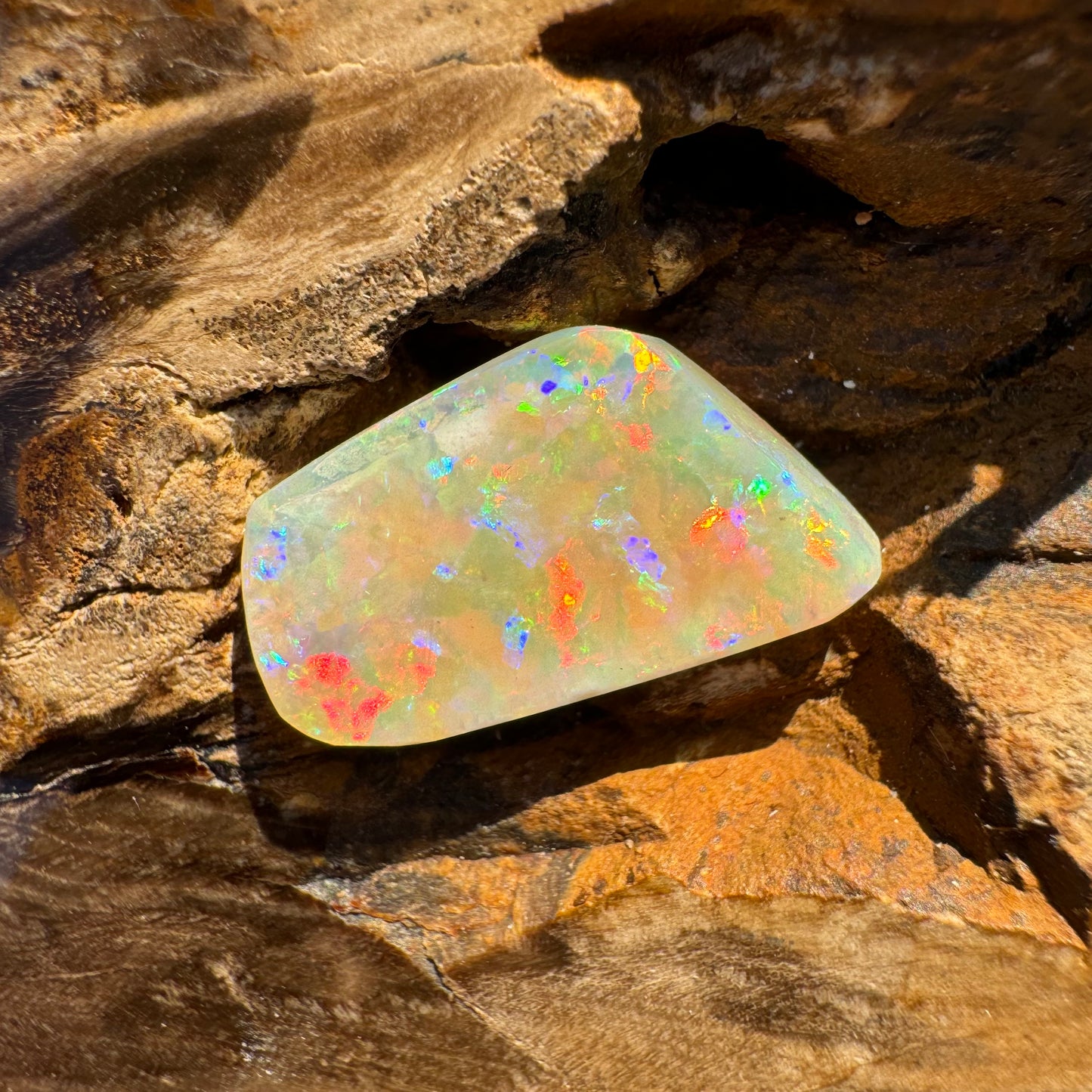 Coober Pedy Belemnite Opal (Fossil Opal Squid) 5.8carat Solid Hand-Cut - Iona Opal Australia