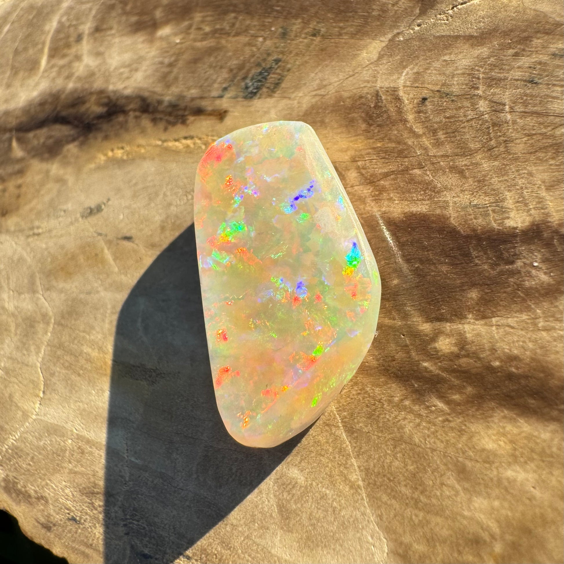 Coober Pedy Belemnite Opal (Fossil Opal Squid) 5.8carat Solid Hand-Cut - Iona Opal Australia