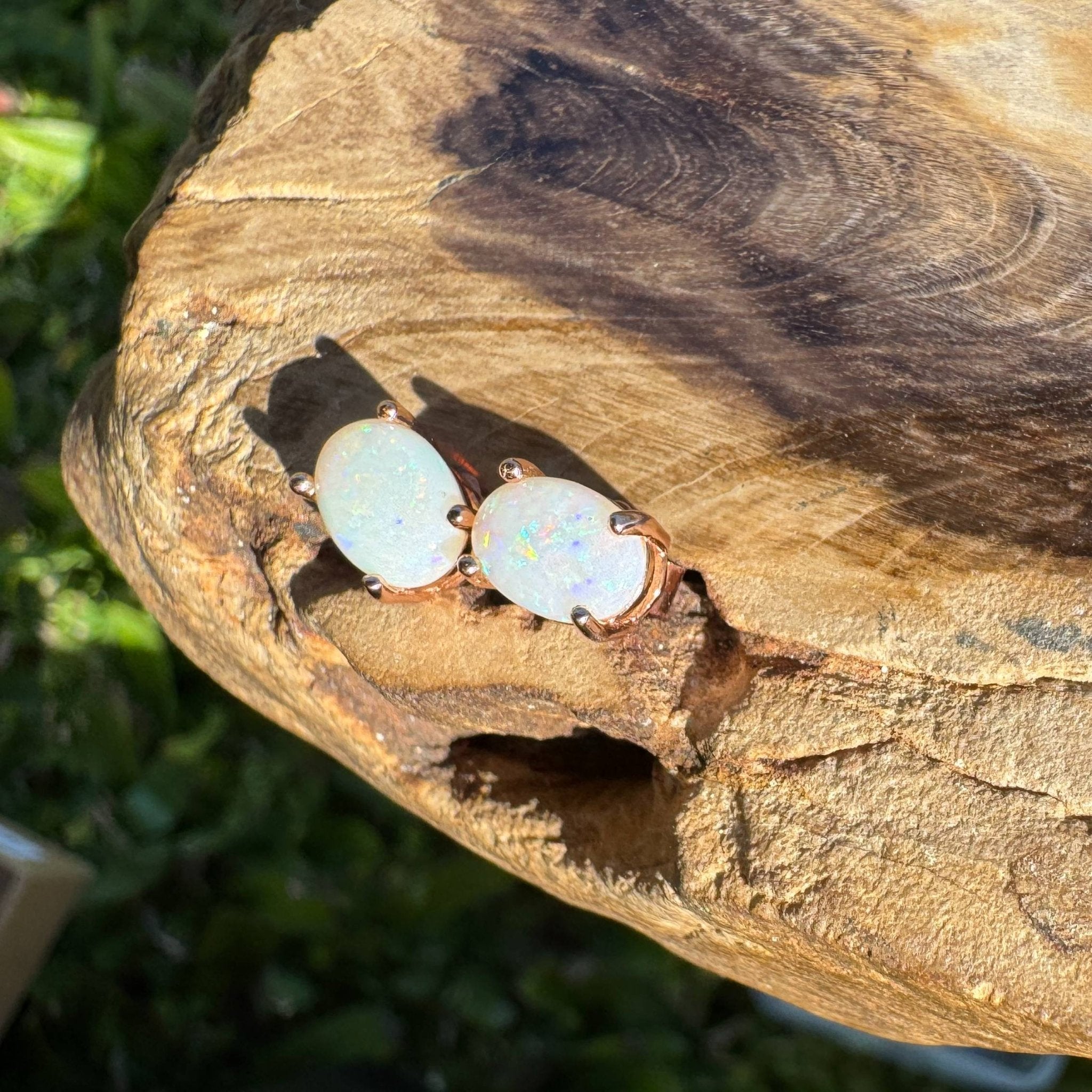 Blush Aurora ~ 1.4ct Coober Pedy Opal Rose Gold Coated Sterling Silver Earrings