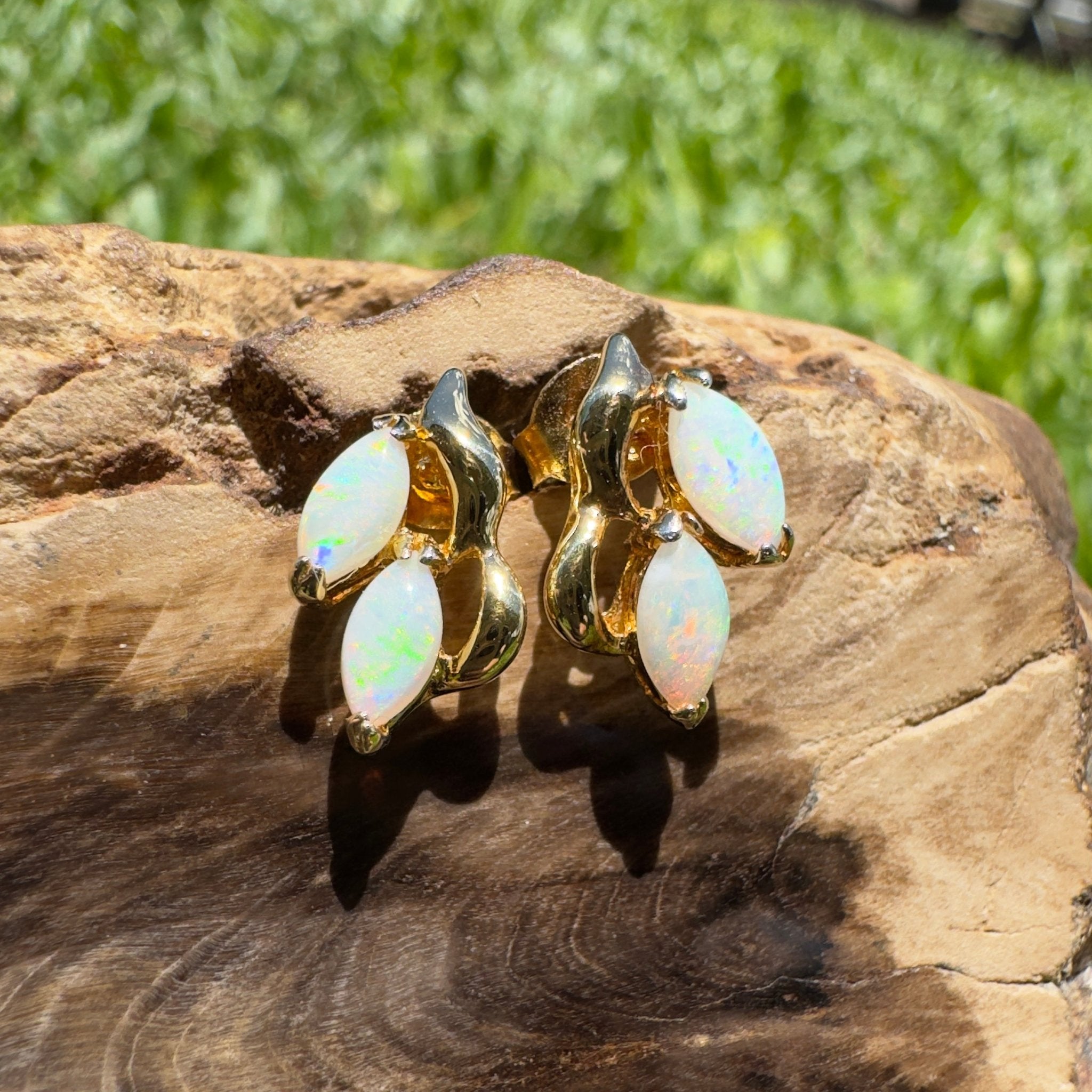 Cape York Wild Flowers ~ 0.8ct Coober Pedy Opal Yellow Gold Coated Sterling Silver Earrings