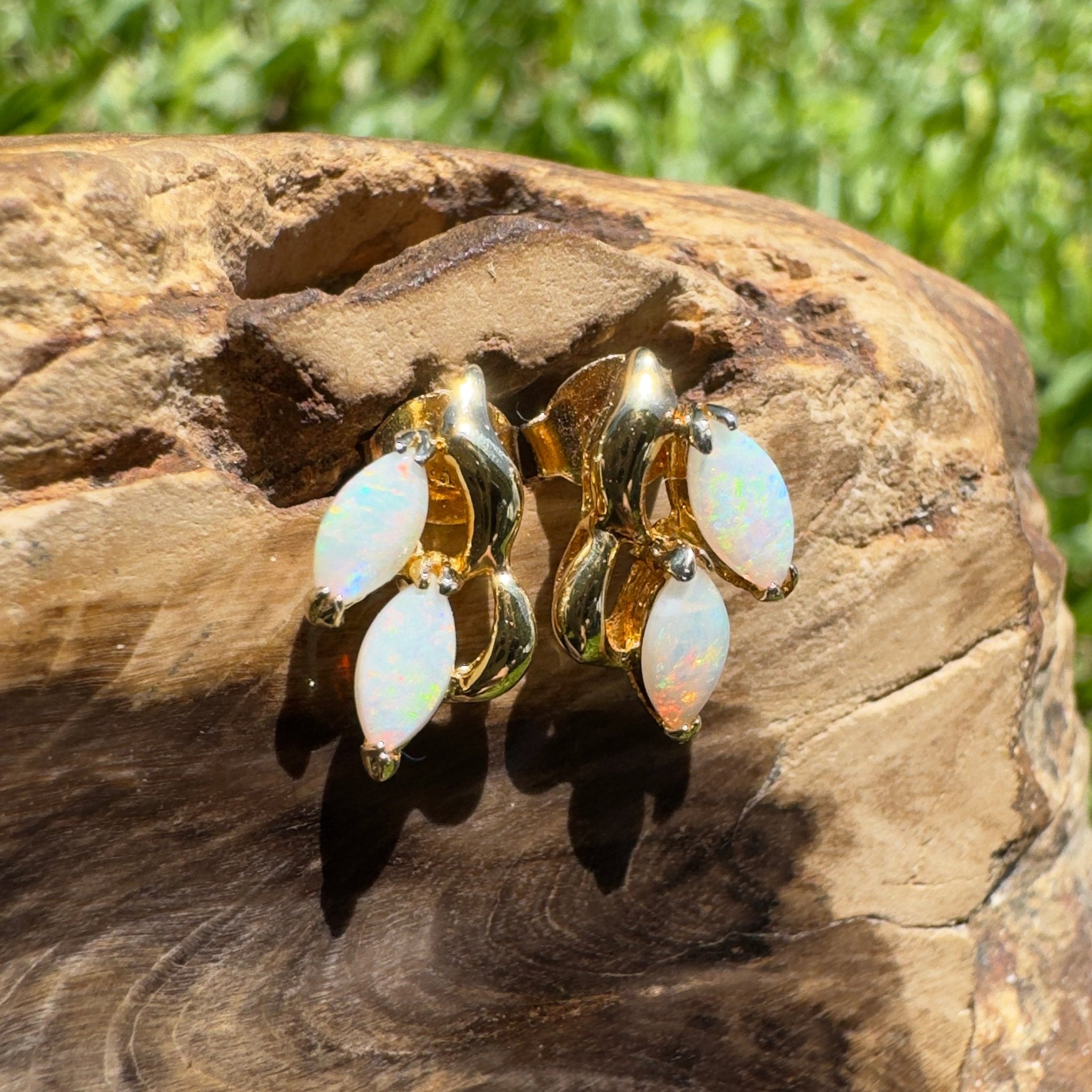 Cape York Wild Flowers ~ 0.8ct Coober Pedy Opal Yellow Gold Coated Sterling Silver Earrings