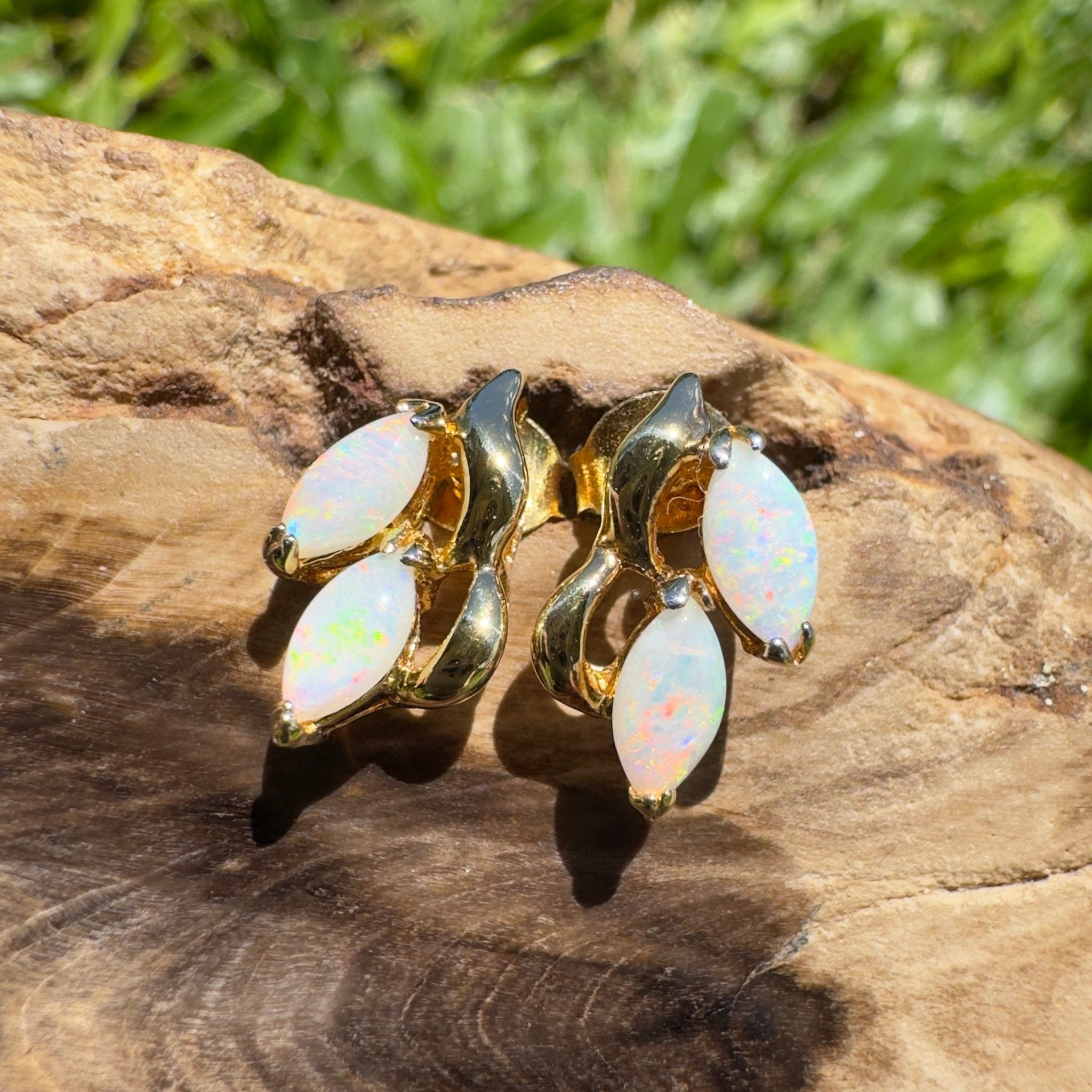 Cape York Wild Flowers ~ 0.8ct Coober Pedy Opal Yellow Gold Coated Sterling Silver Earrings