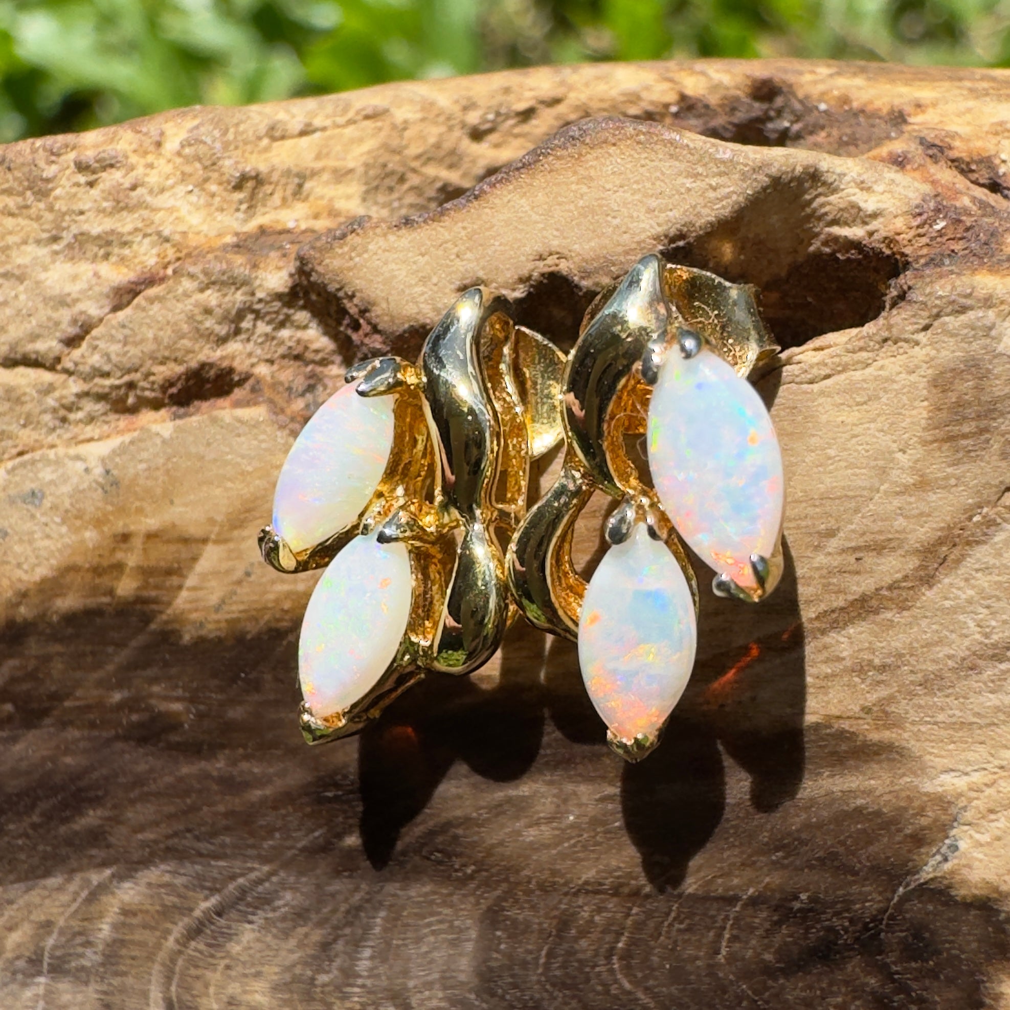 Cape York Wild Flowers ~ 0.8ct Coober Pedy Opal Yellow Gold Coated Sterling Silver Earrings